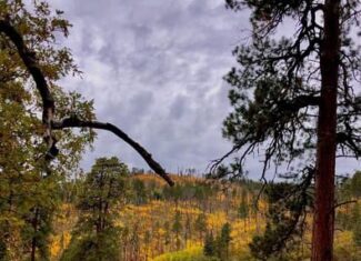 Southern CO Outfitting Business for Sale(NO DEEDED PROPERTY)