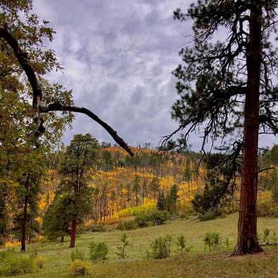 Southern CO Outfitting Business for Sale(NO DEEDED PROPERTY)