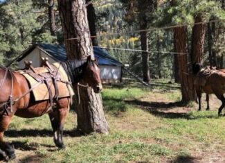 Southern CO Outfitting Business for Sale(NO DEEDED PROPERTY)