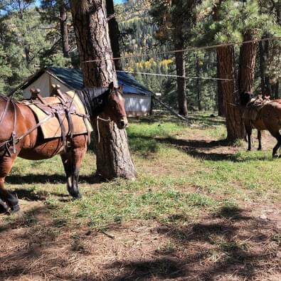 Southern CO Outfitting Business for Sale(NO DEEDED PROPERTY)