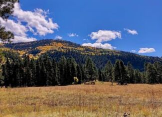 Southern CO Outfitting Business for Sale(NO DEEDED PROPERTY)