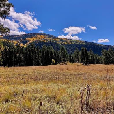Southern CO Outfitting Business for Sale(NO DEEDED PROPERTY)