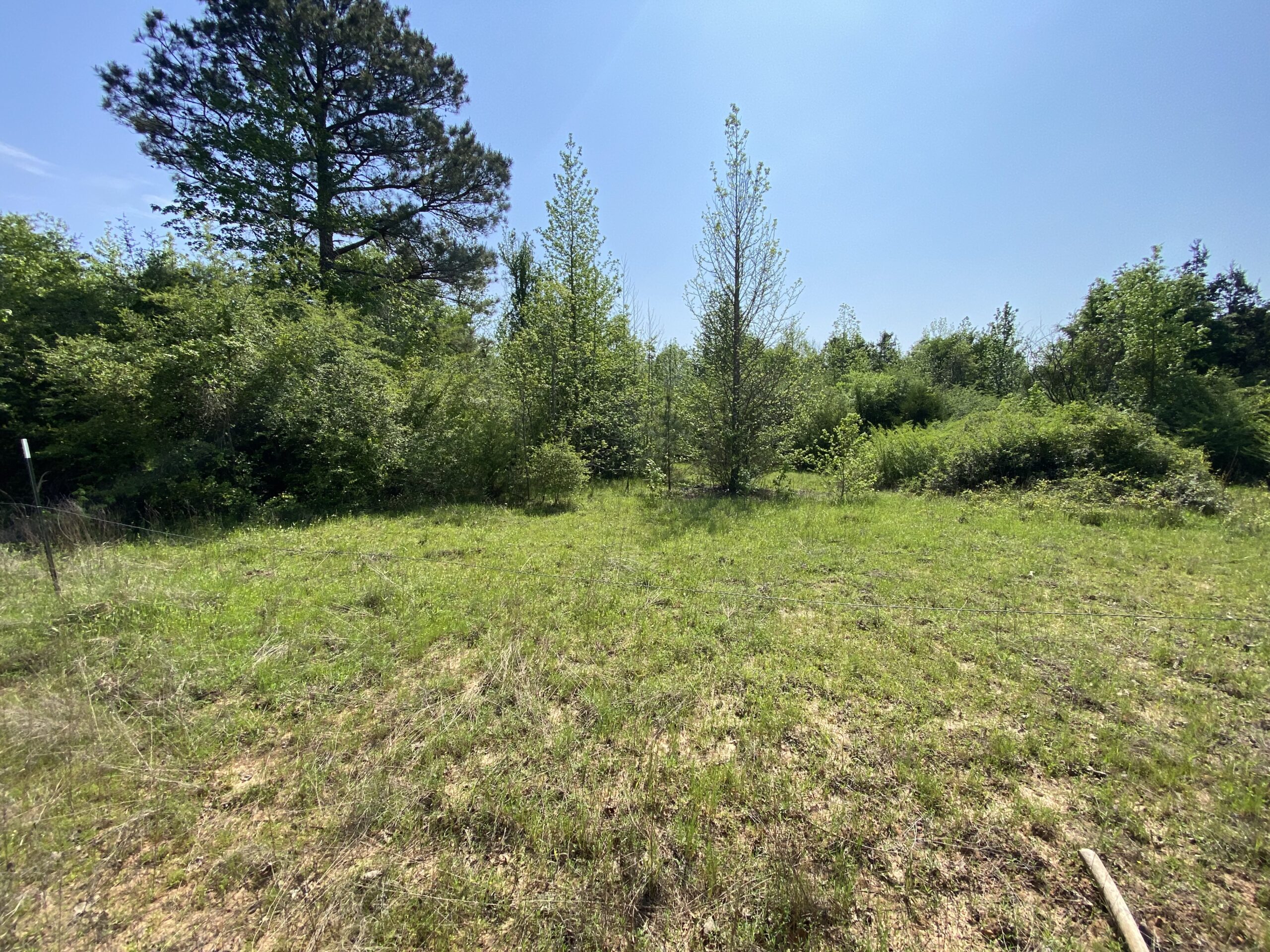 182+ Acres of Whitetail Paradise in Jefferson, TX