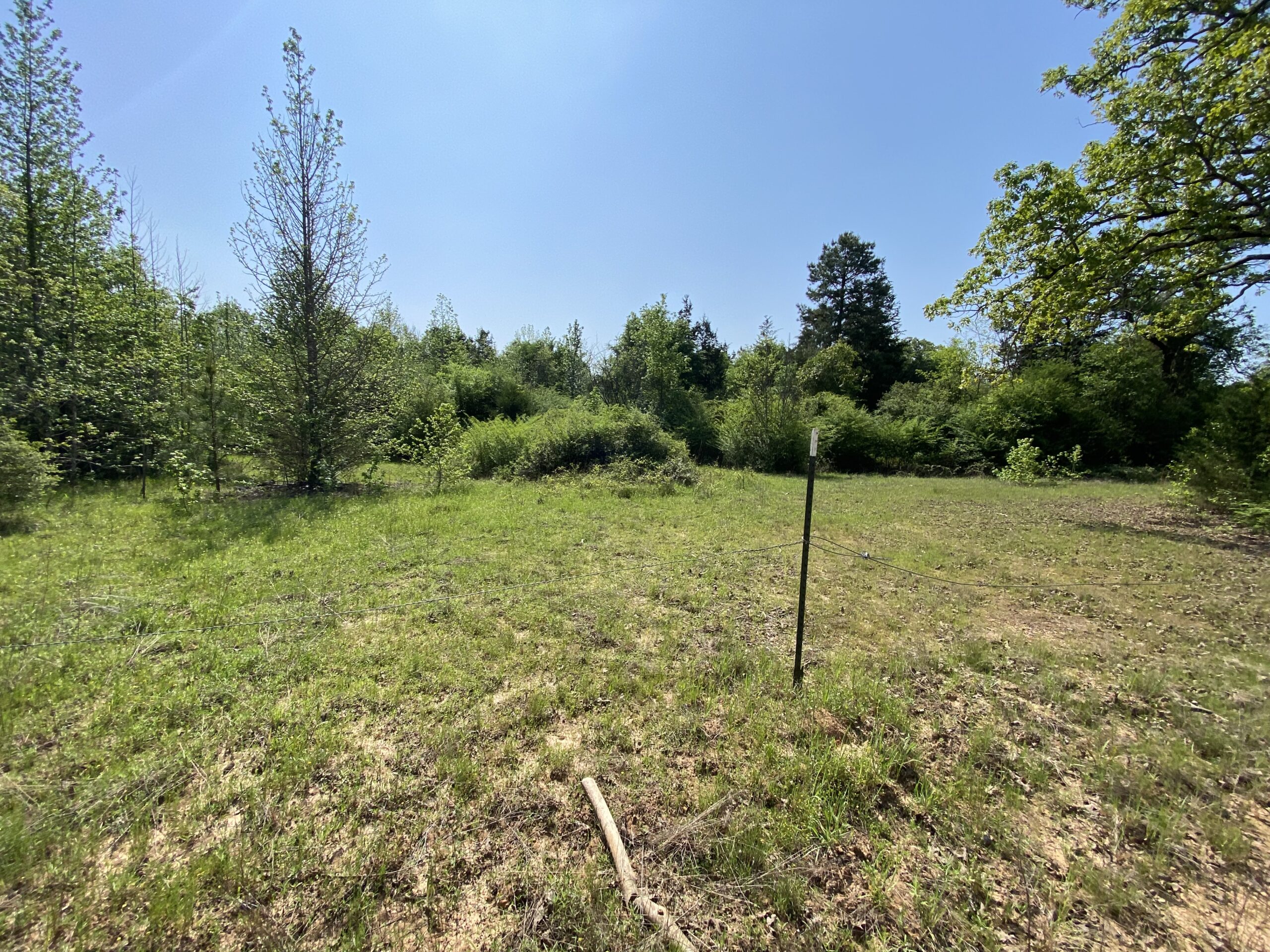 182+ Acres of Whitetail Paradise in Jefferson, TX