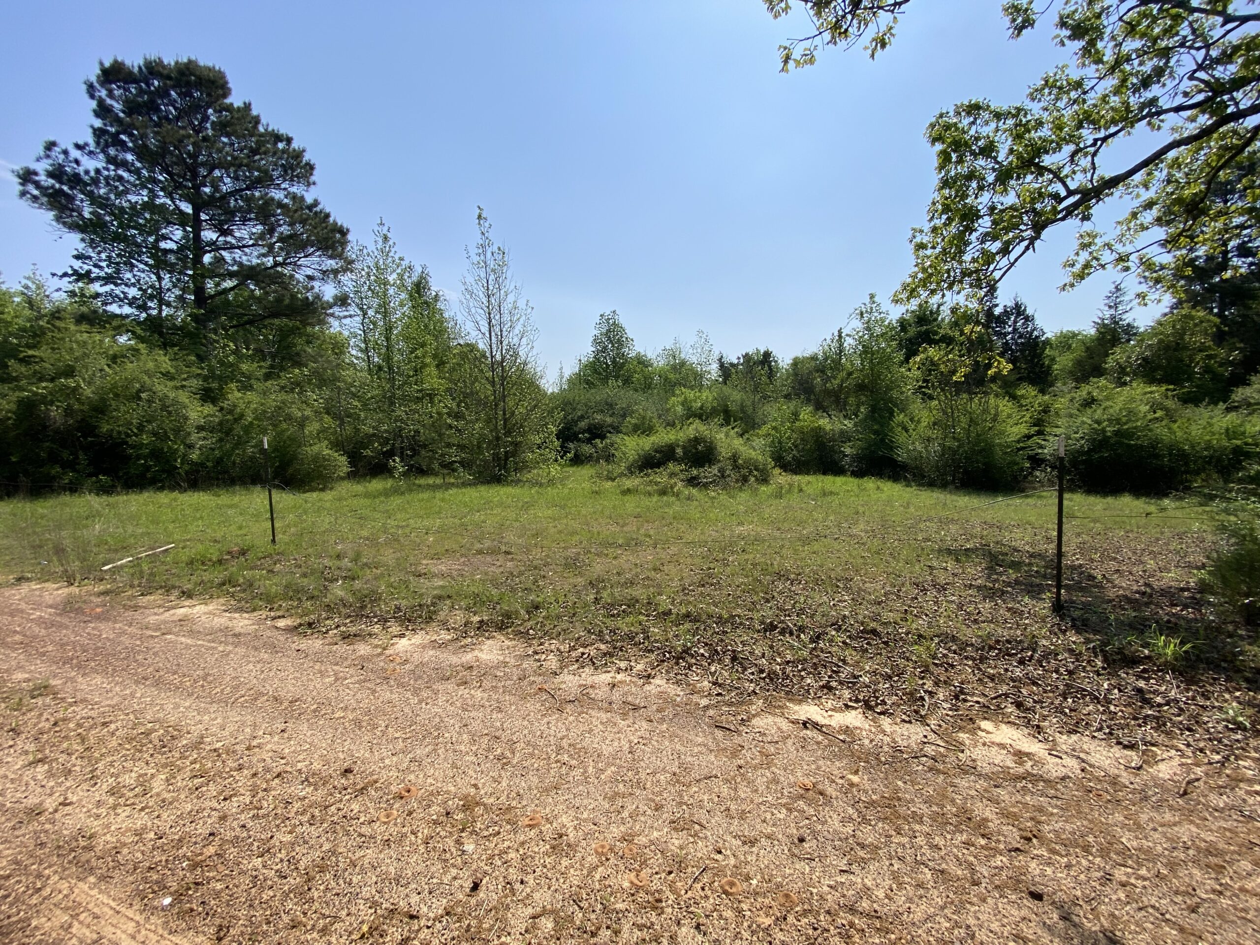 182+ Acres of Whitetail Paradise in Jefferson, TX