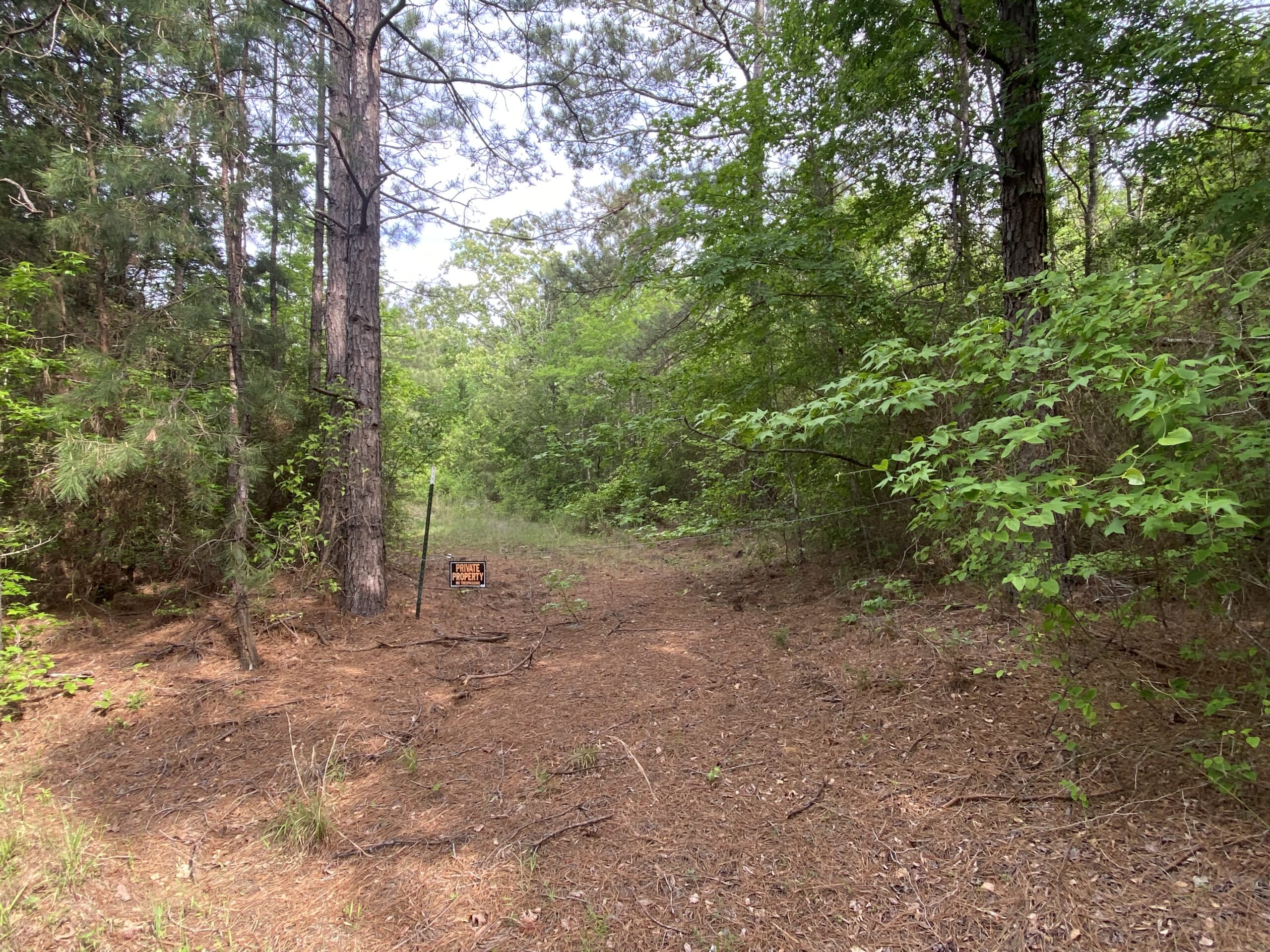 182+ Acres of Whitetail Paradise in Jefferson, TX