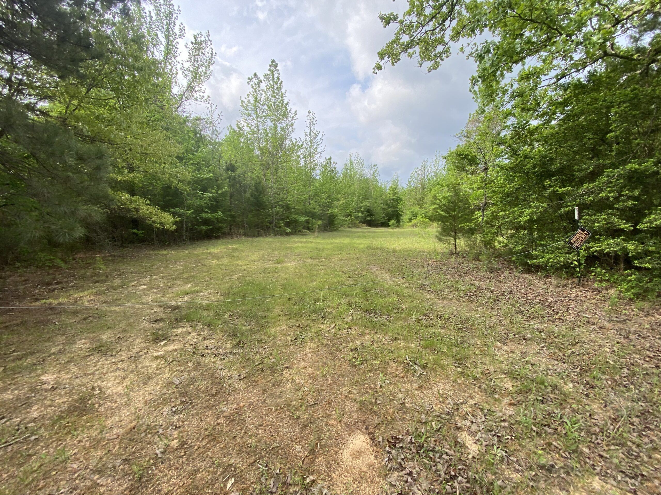 182+ Acres of Whitetail Paradise in Jefferson, TX