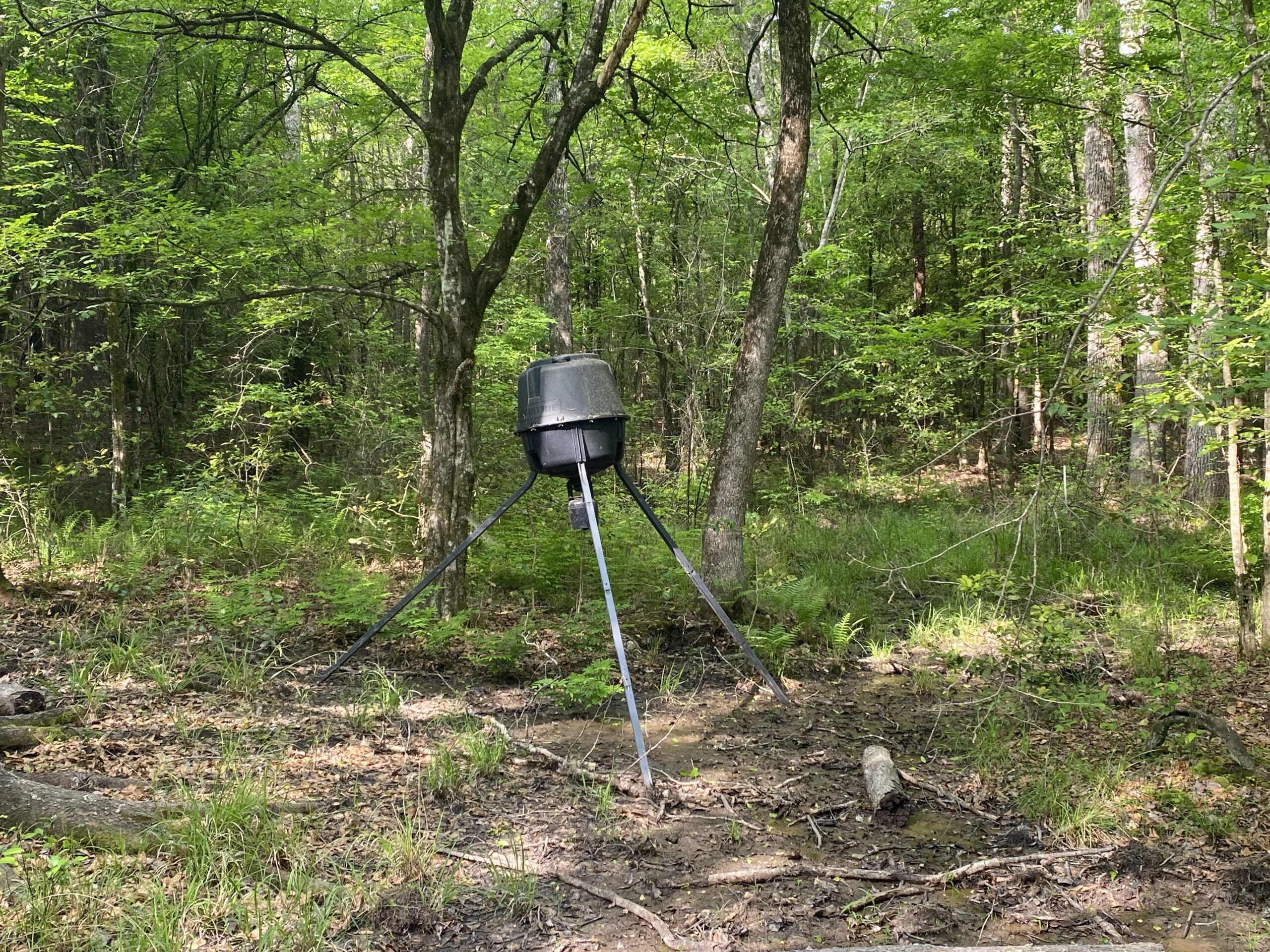 182+ Acres of Whitetail Paradise in Jefferson, TX