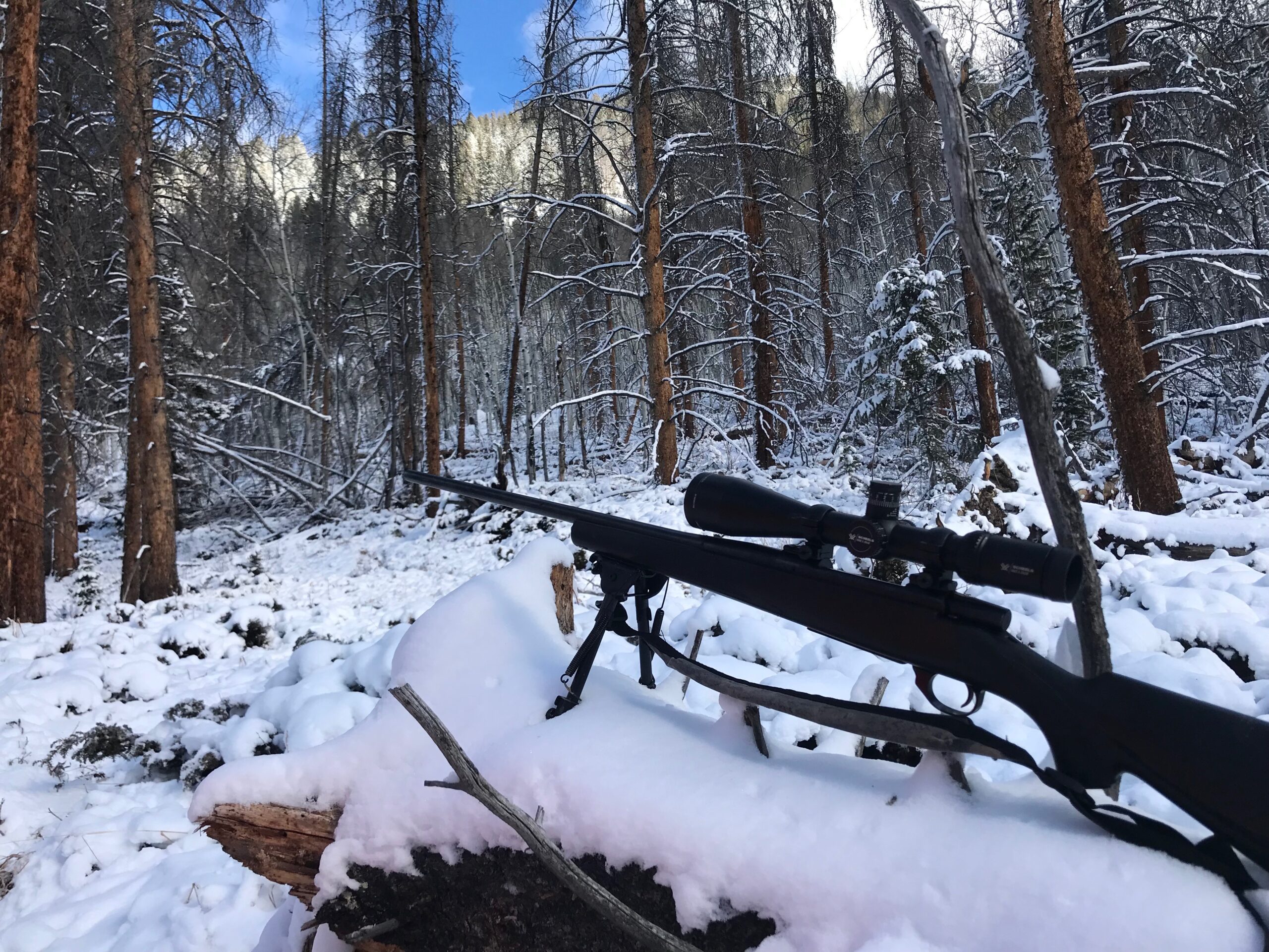 North Colorado Outfitting Business for sale (NO DEEDED PROPERTY)