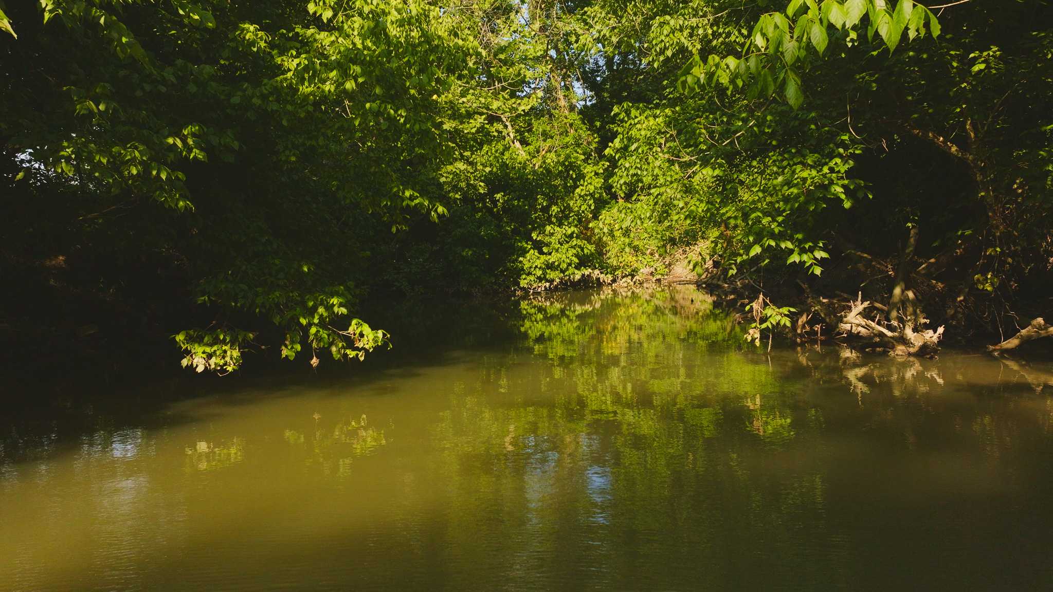 Creekfront Row Crop Land in East Tennessee Land Greene County