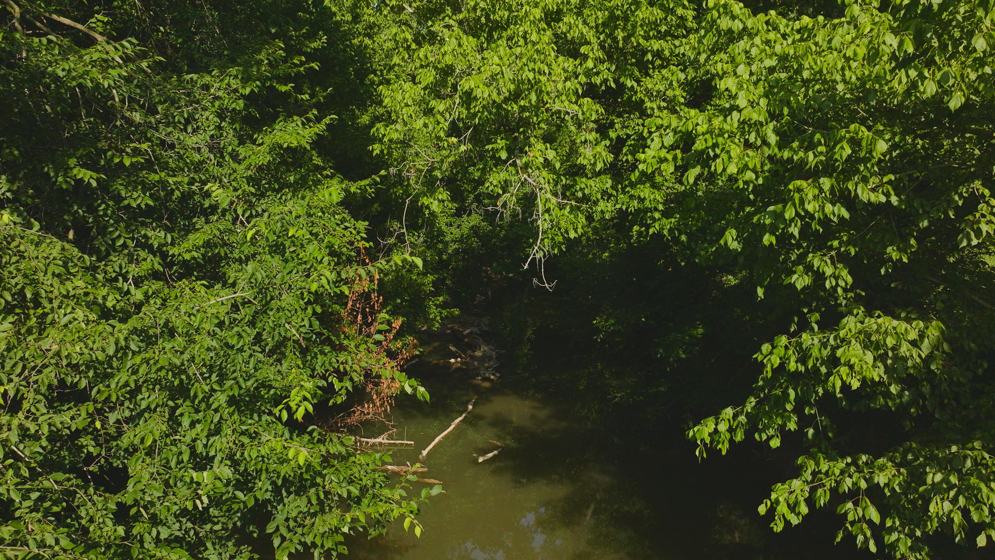 Creekfront Row Crop Land in East Tennessee Land Greene County