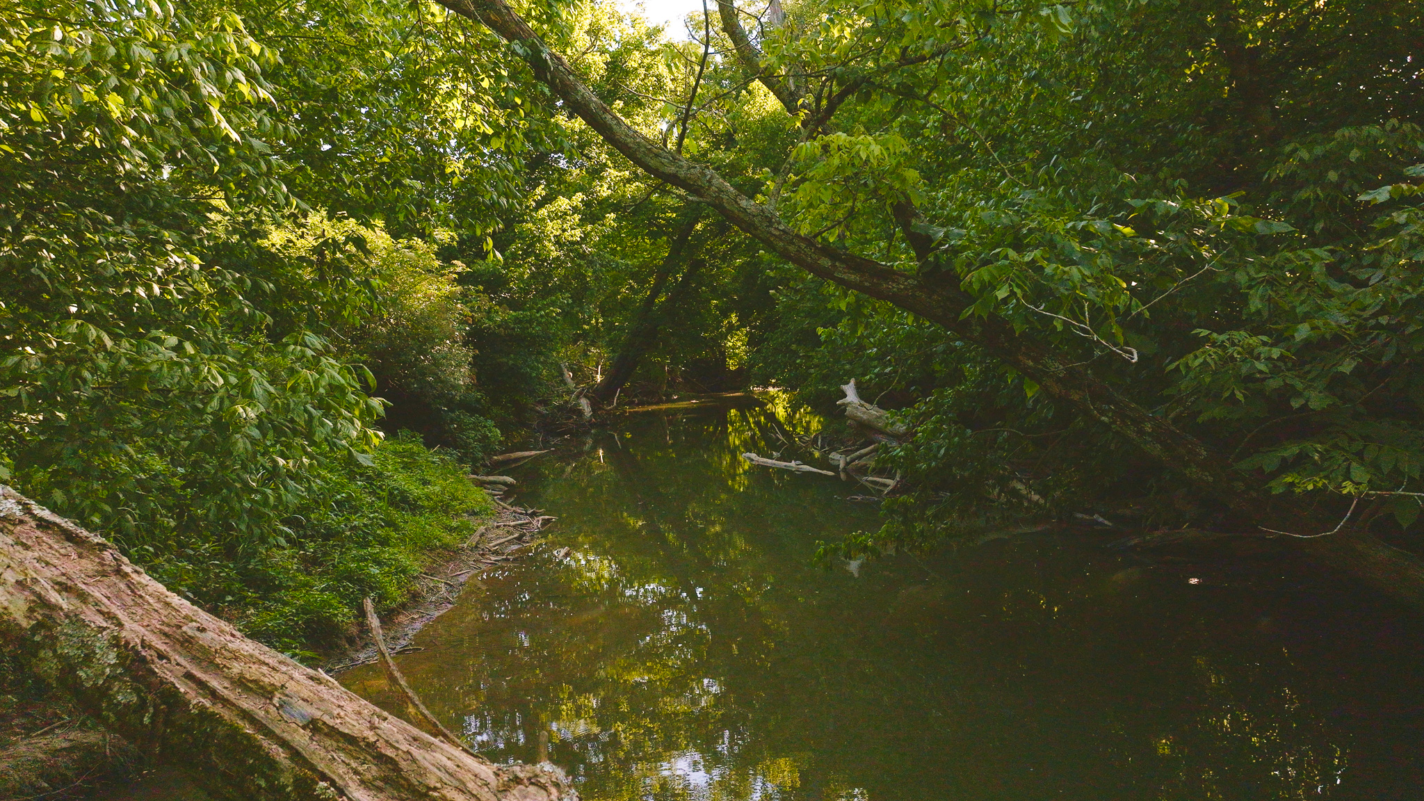 Creekfront Row Crop Land in East Tennessee Land Greene County