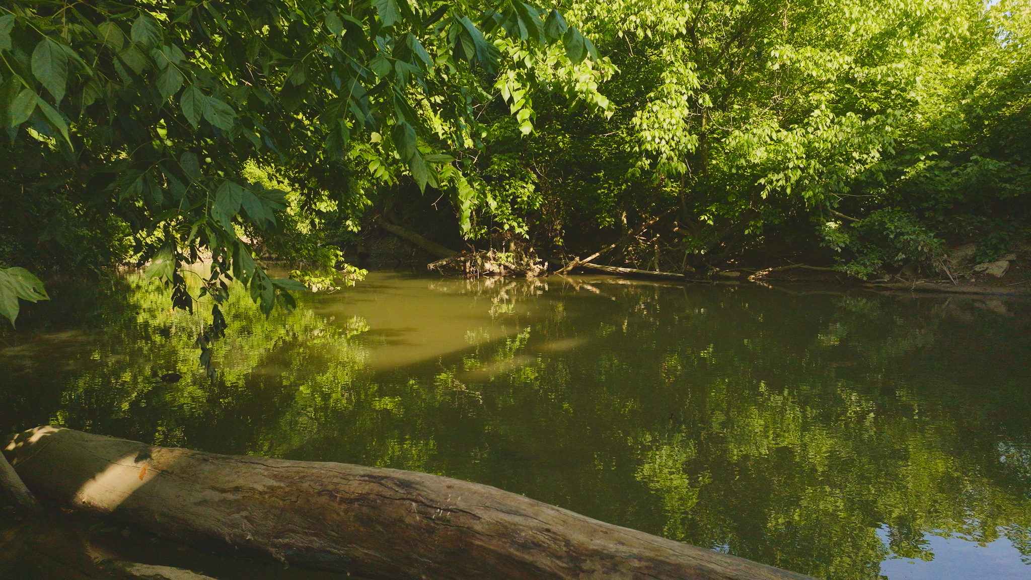 Creekfront Row Crop Land in East Tennessee Land Greene County