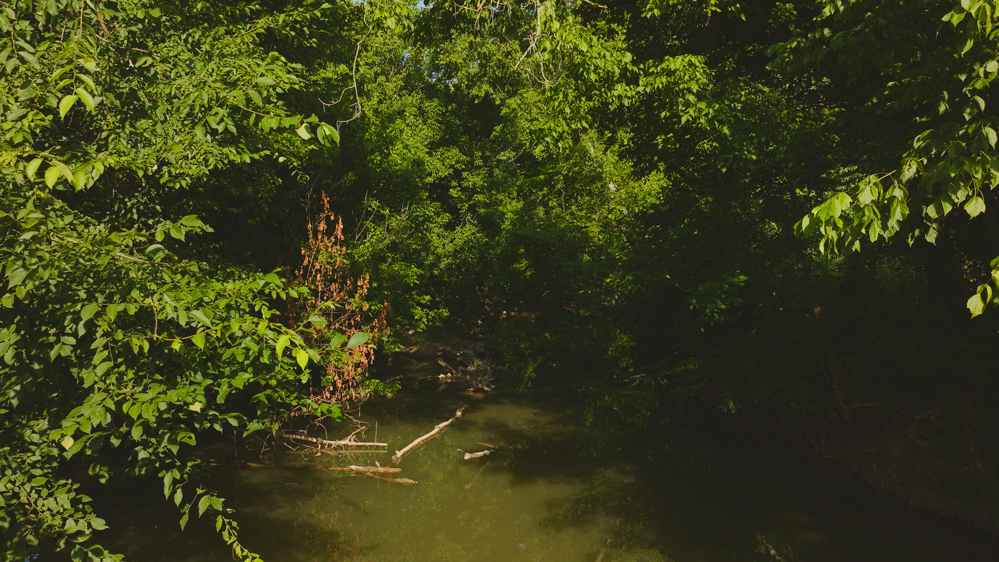 Creekfront Row Crop Land in East Tennessee Land Greene County