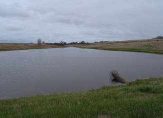 211 +/- Acres, Wayne County, Iowa – High-Income CRP Farm with Big Deer History and 8-Acre Lake