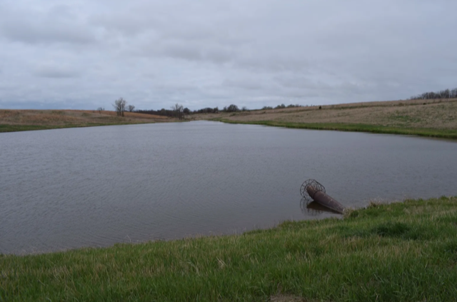 211 +/- Acres, Wayne County, Iowa – High-Income CRP Farm with Big Deer History and 8-Acre Lake