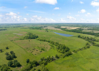 211 +/- Acres, Wayne County, Iowa – High-Income CRP Farm with Big Deer History and 8-Acre Lake