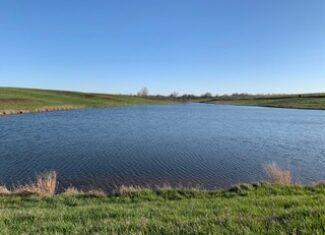211 +/- Acres, Wayne County, Iowa – High-Income CRP Farm with Big Deer History and 8-Acre Lake