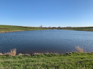 211 +/- Acres, Wayne County, Iowa – High-Income CRP Farm with Big Deer History and 8-Acre Lake