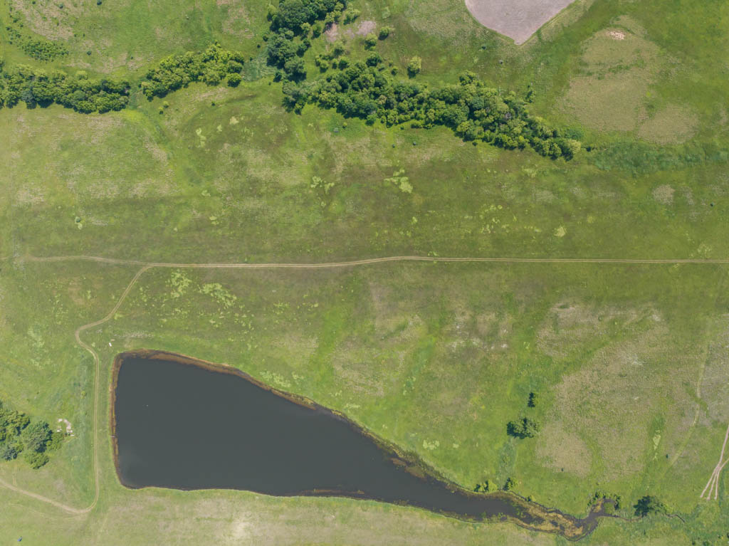 211 +/- Acres, Wayne County, Iowa – High-Income CRP Farm with Big Deer History and 8-Acre Lake