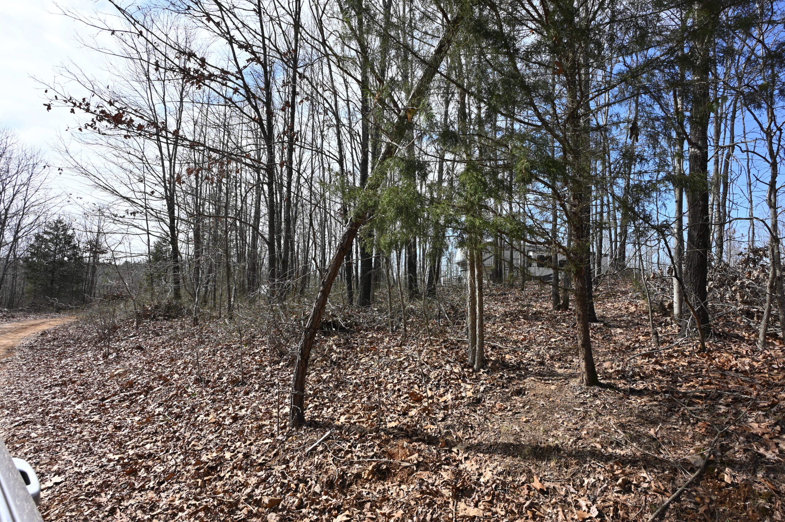 12.33 Acres Land for Sale in Perry County, Tennessee