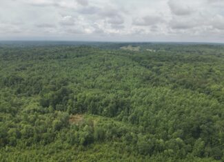 65.84 Acres for Sale in Decaturville, Tennessee