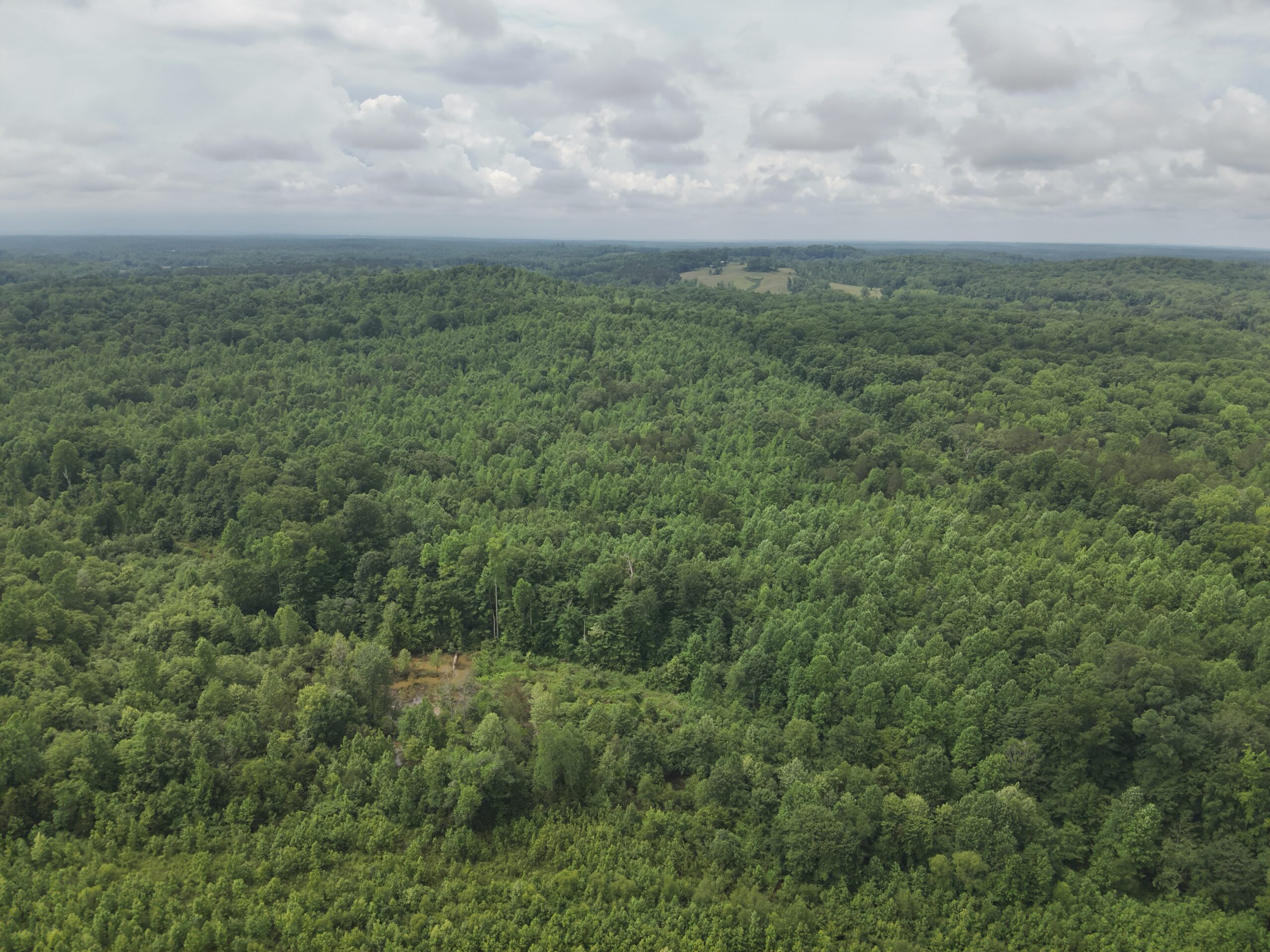 65.84 Acres for Sale in Decaturville, Tennessee