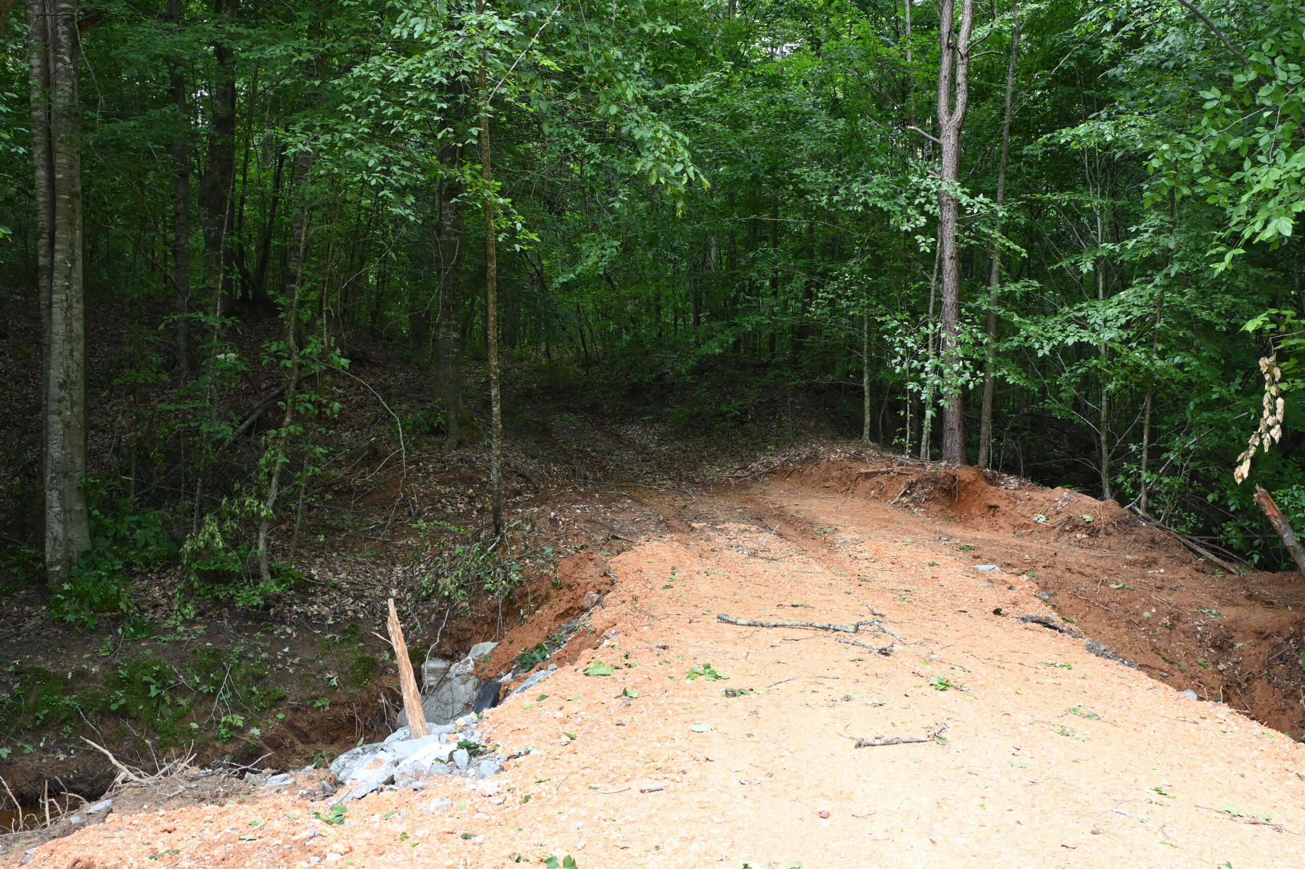 65.84 Acres for Sale in Decaturville, Tennessee