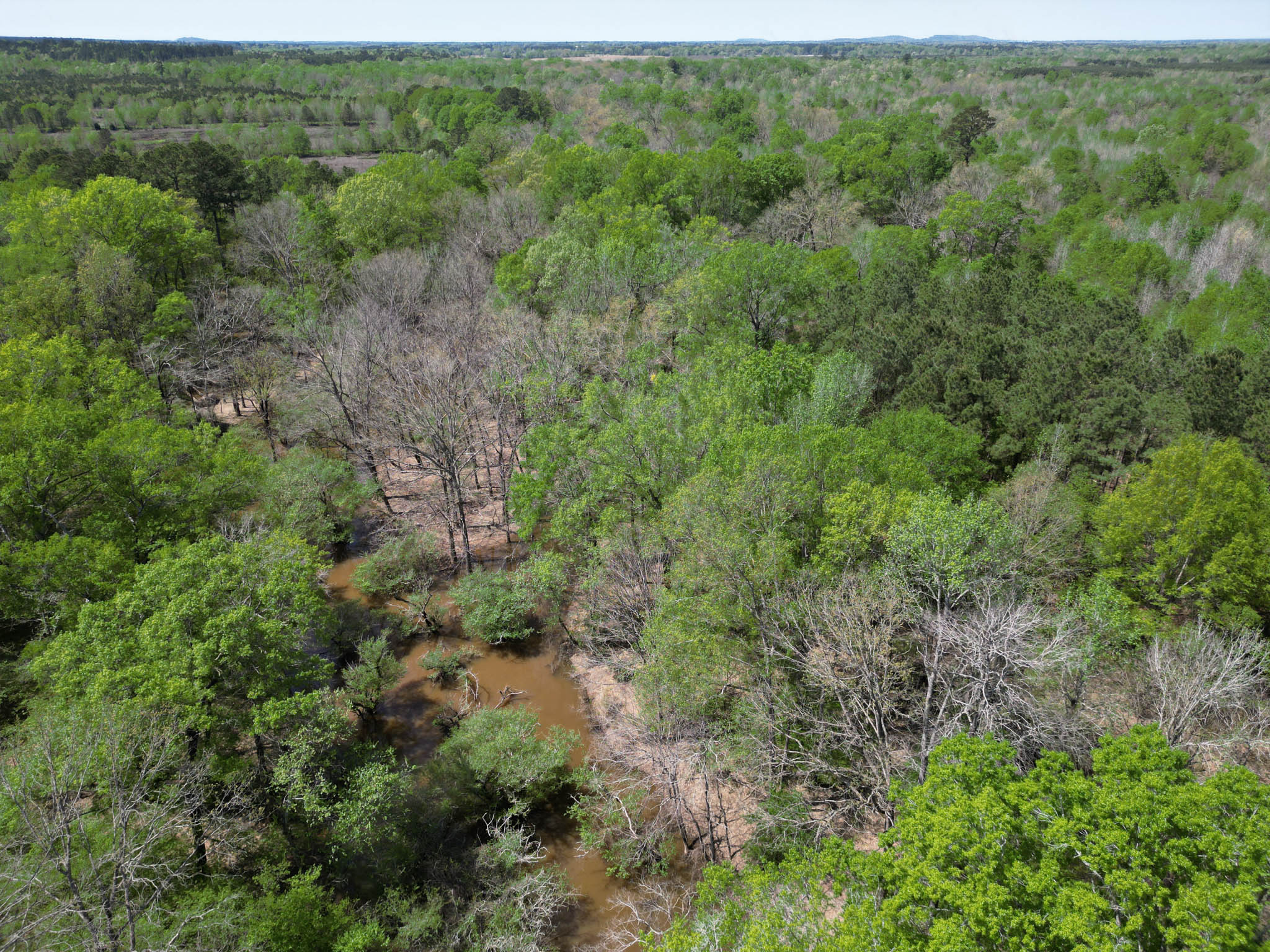 Upshur County Whitetail and Duck Hunting Property