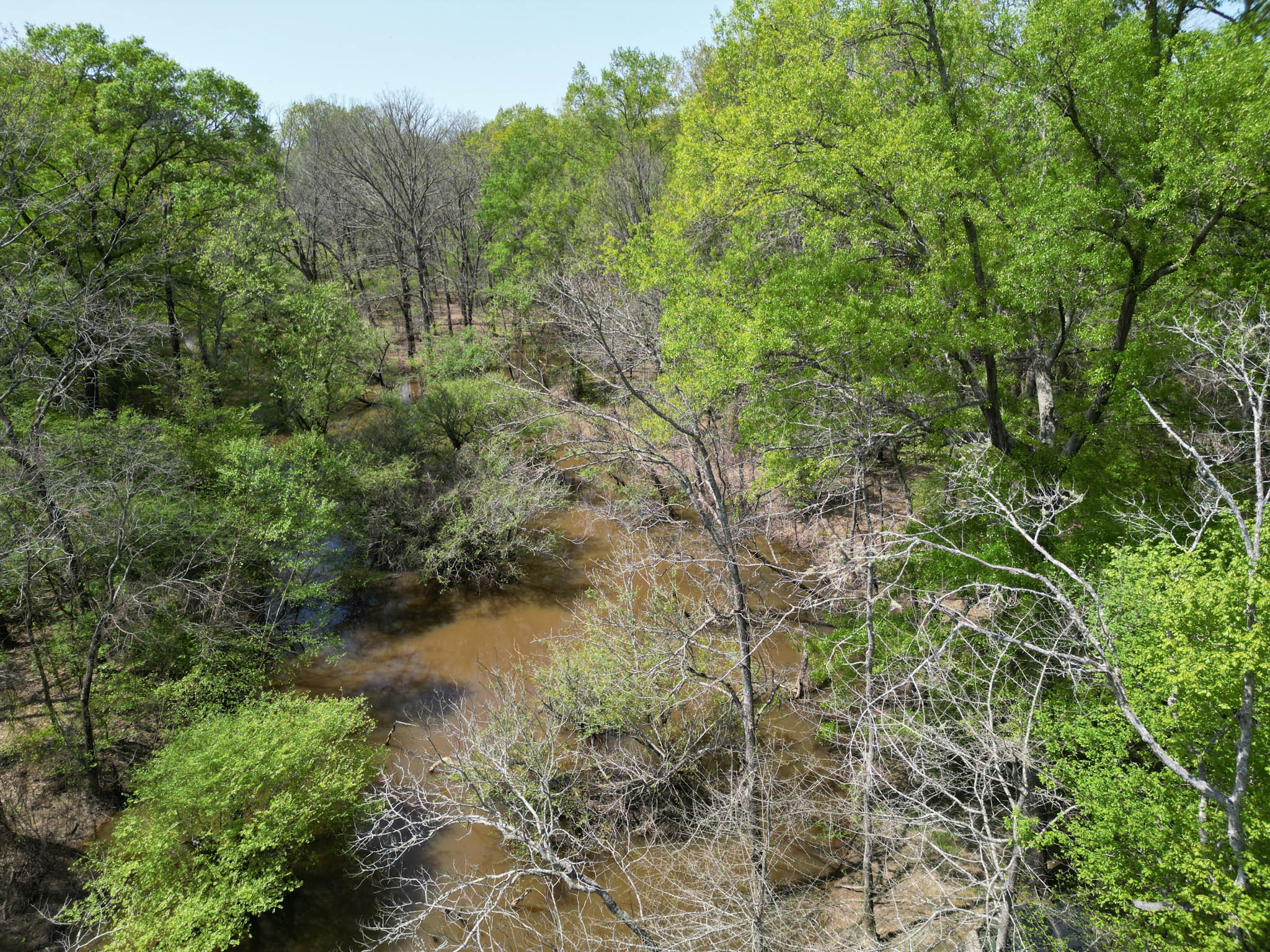 Upshur County Whitetail and Duck Hunting Property