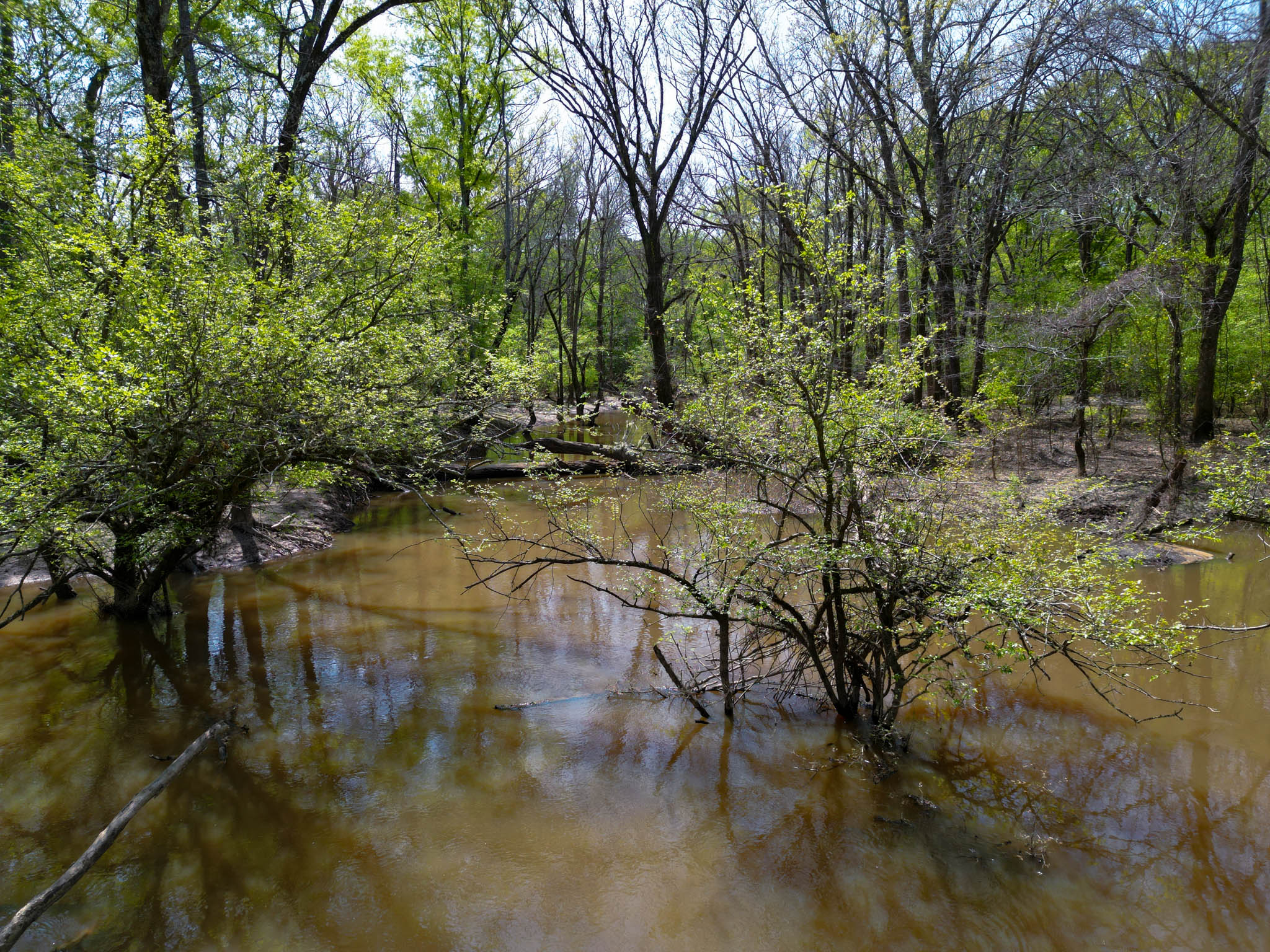 Upshur County Whitetail and Duck Hunting Property