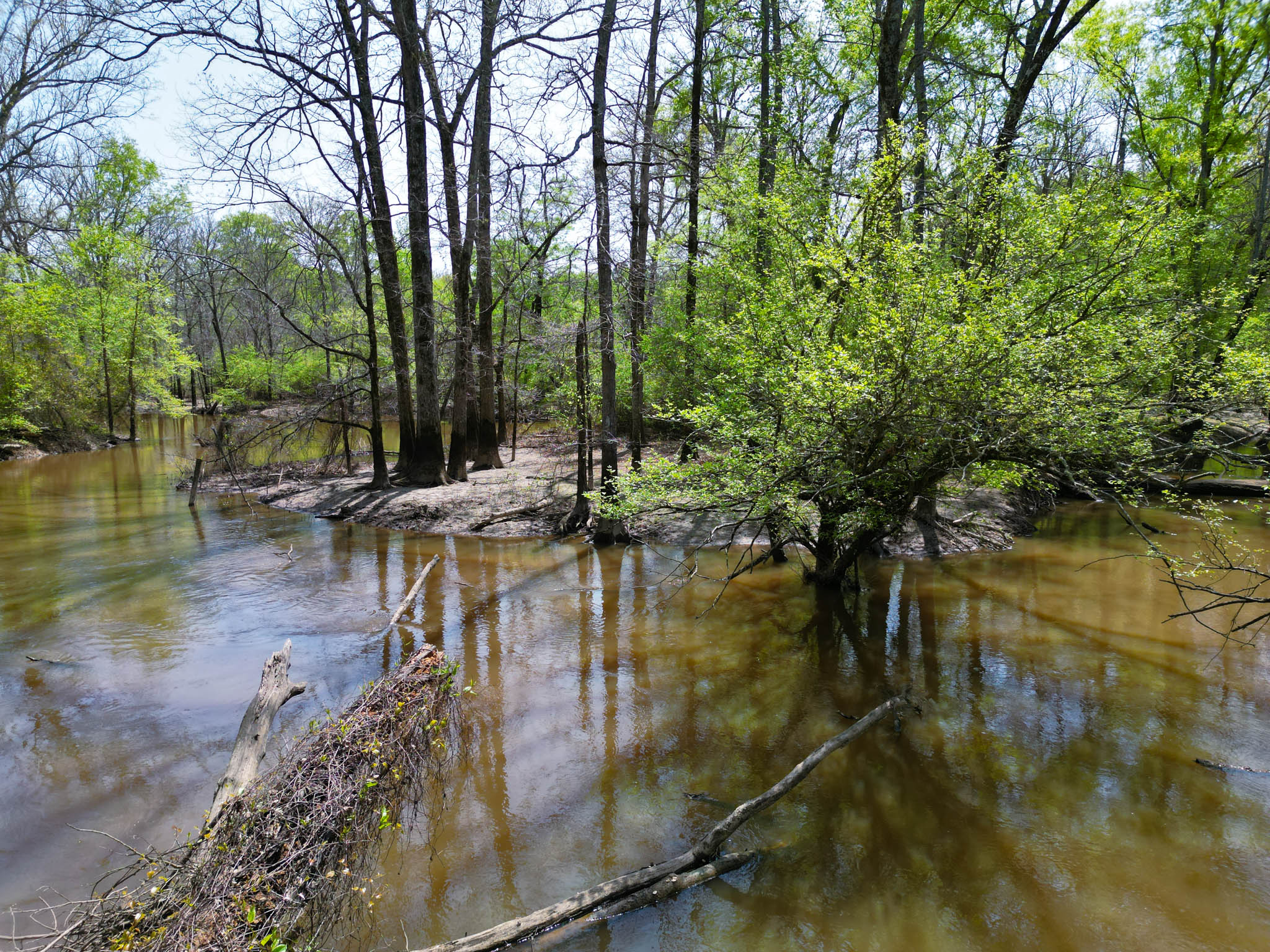 Upshur County Whitetail and Duck Hunting Property