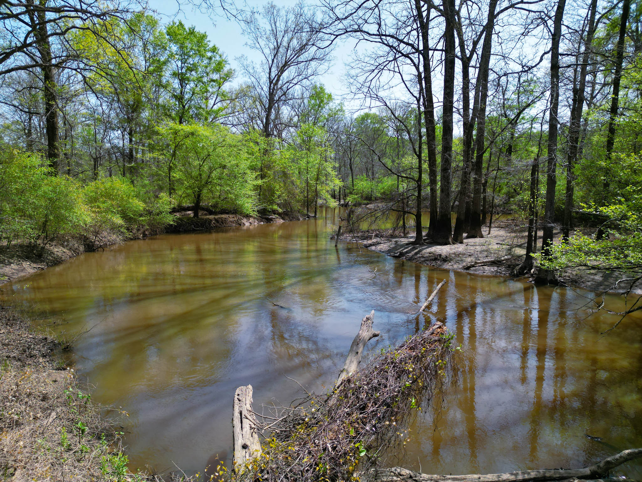 Upshur County Whitetail and Duck Hunting Property