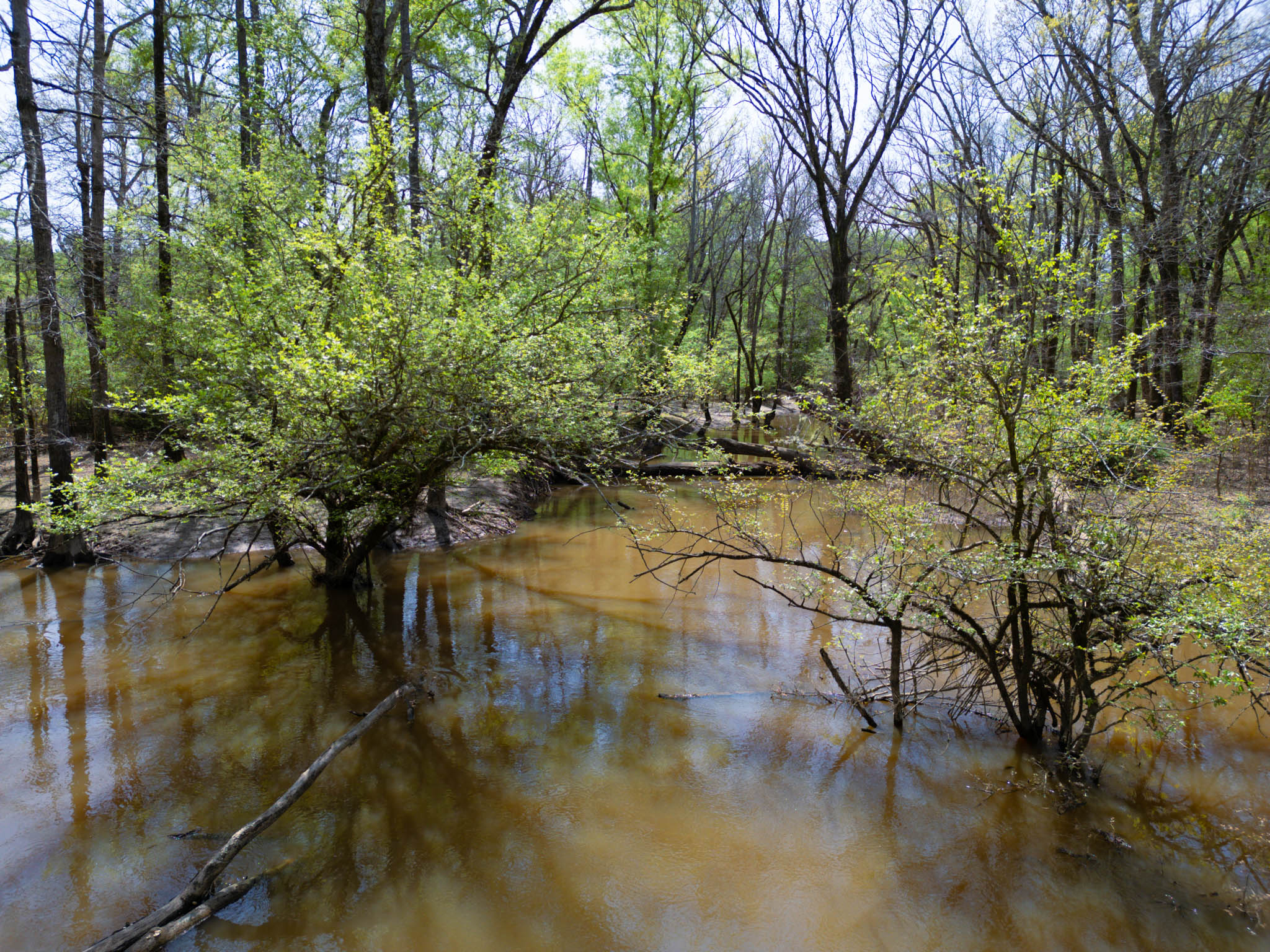 Upshur County Whitetail and Duck Hunting Property