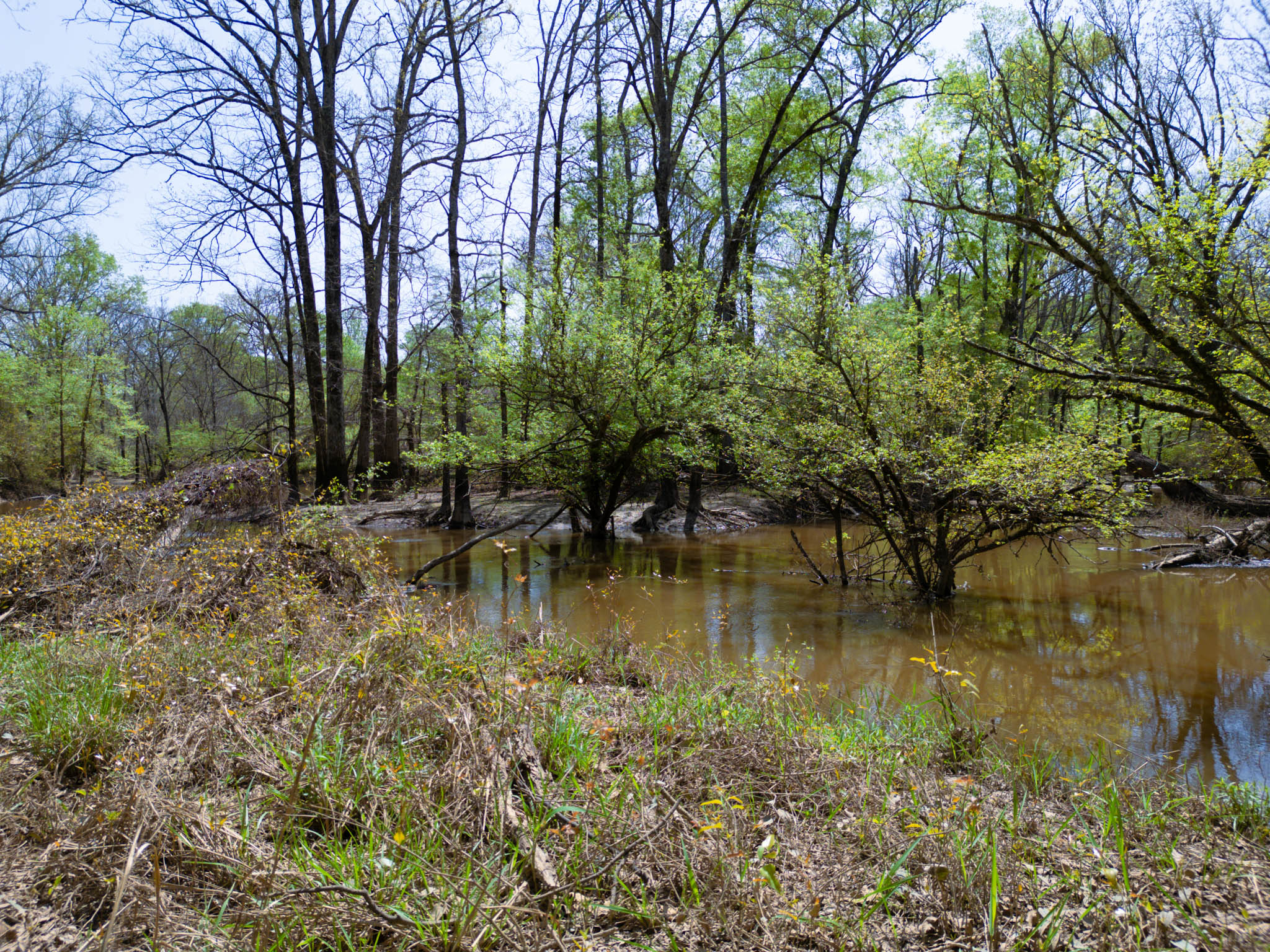 Upshur County Whitetail and Duck Hunting Property