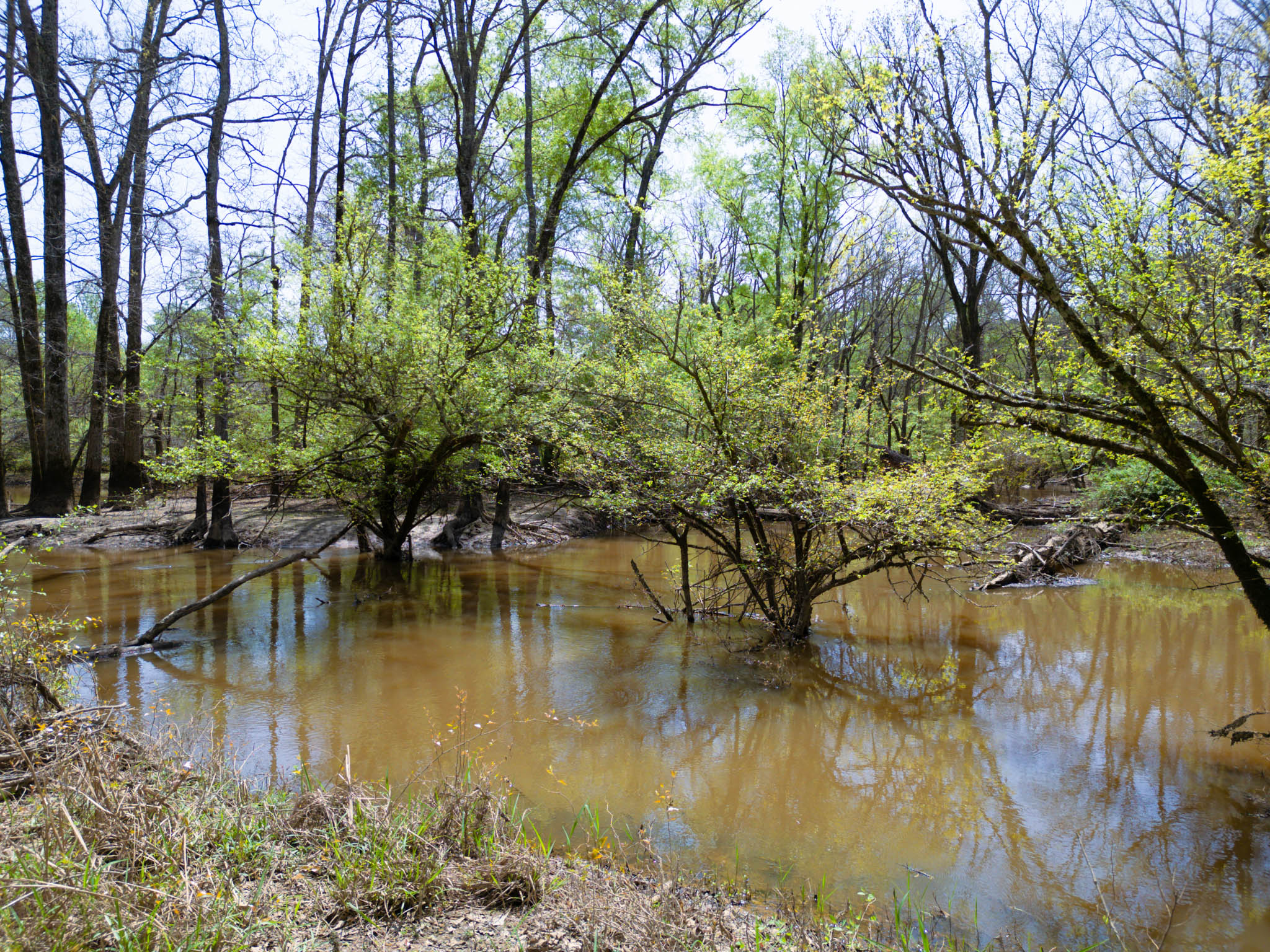 Upshur County Whitetail and Duck Hunting Property