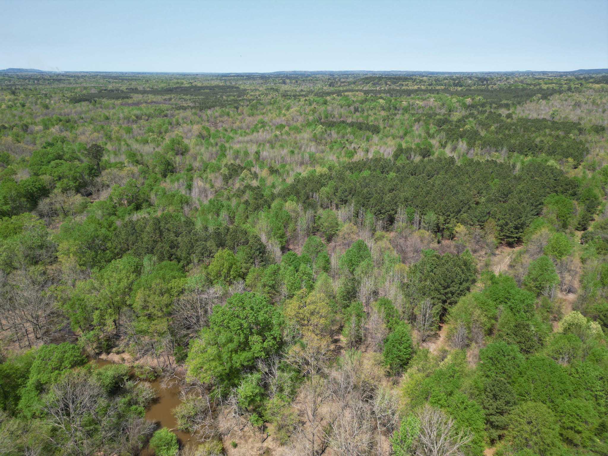 Upshur County Whitetail and Duck Hunting Property