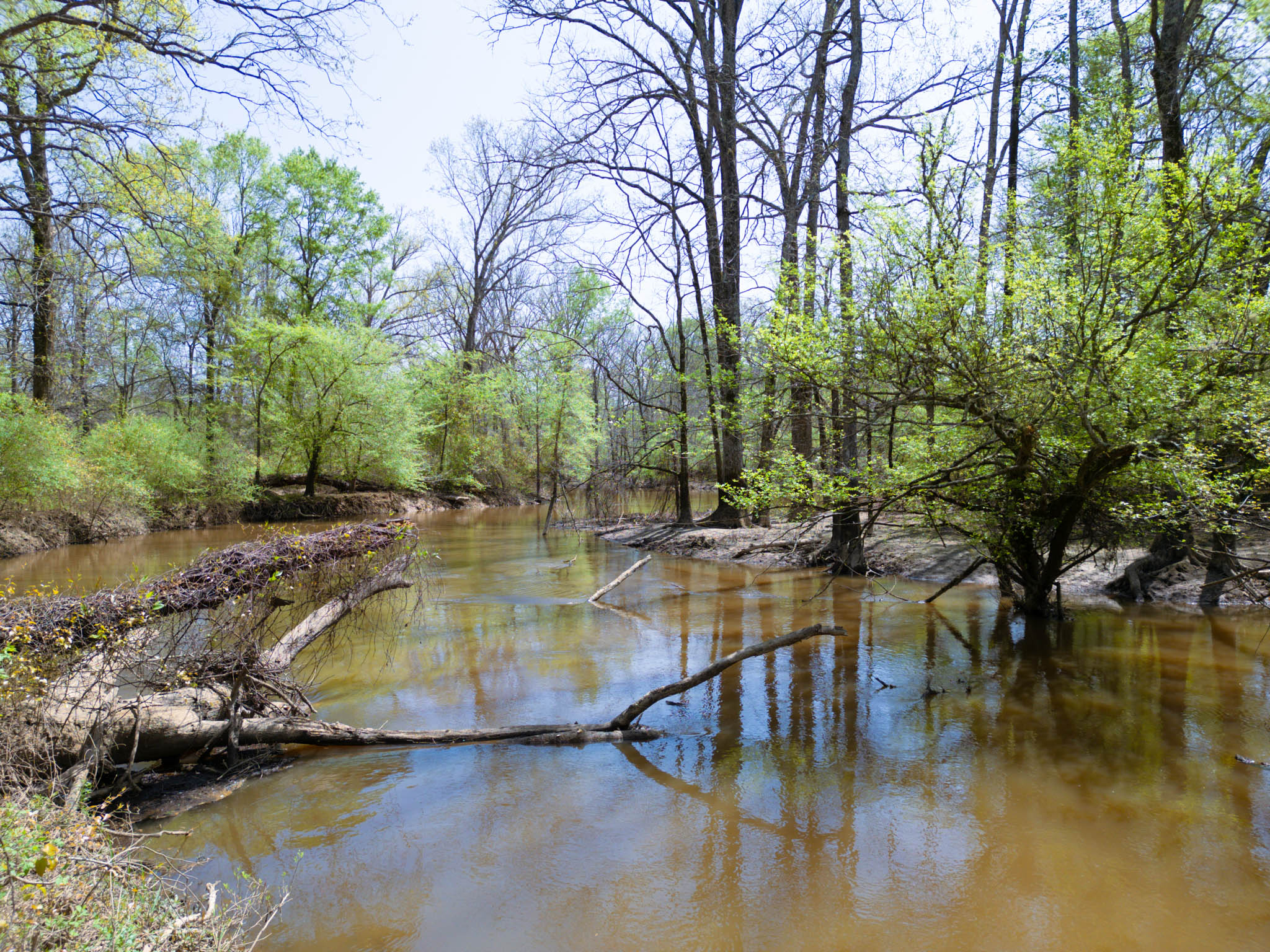 Upshur County Whitetail and Duck Hunting Property