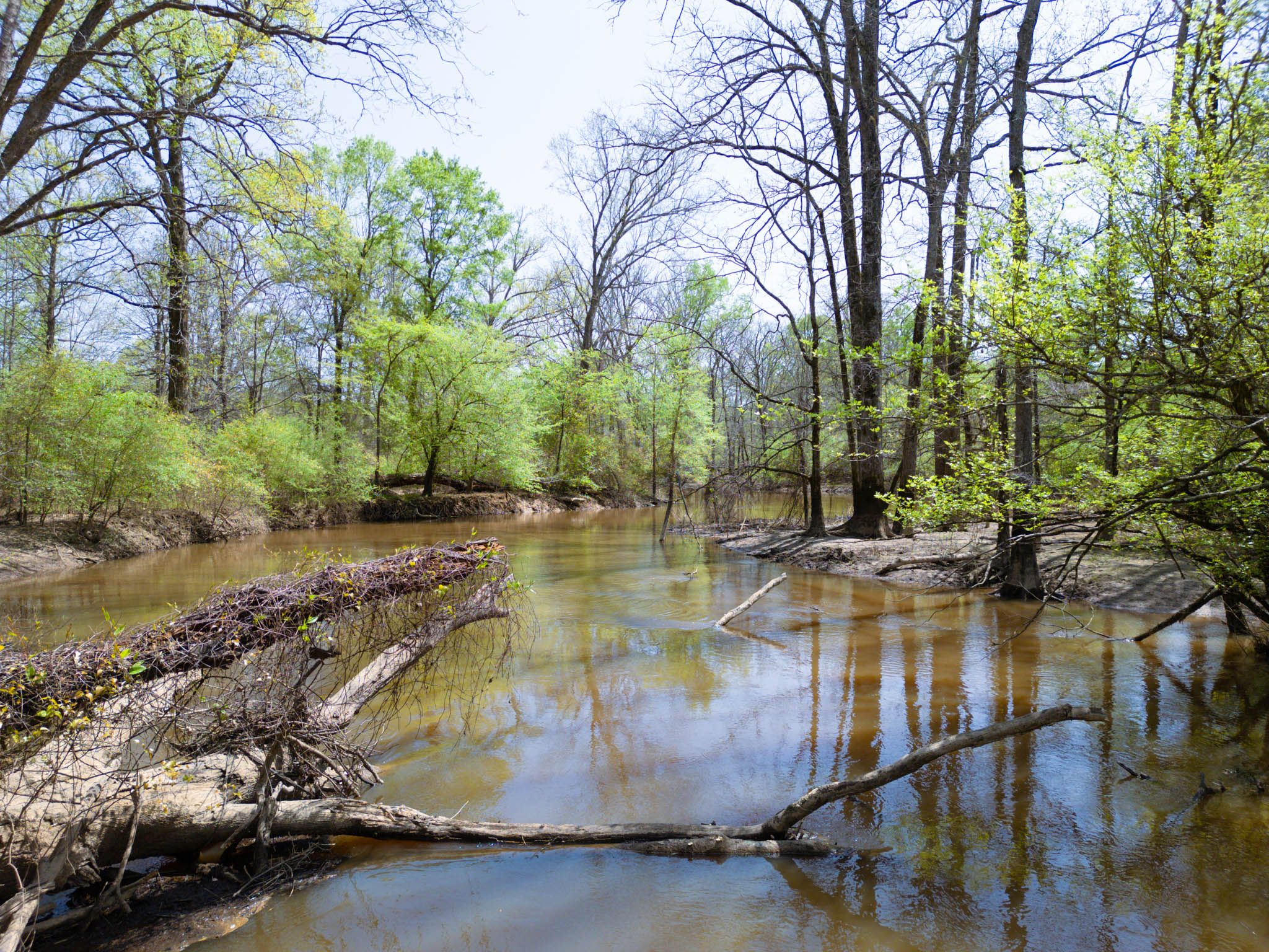 Upshur County Whitetail and Duck Hunting Property