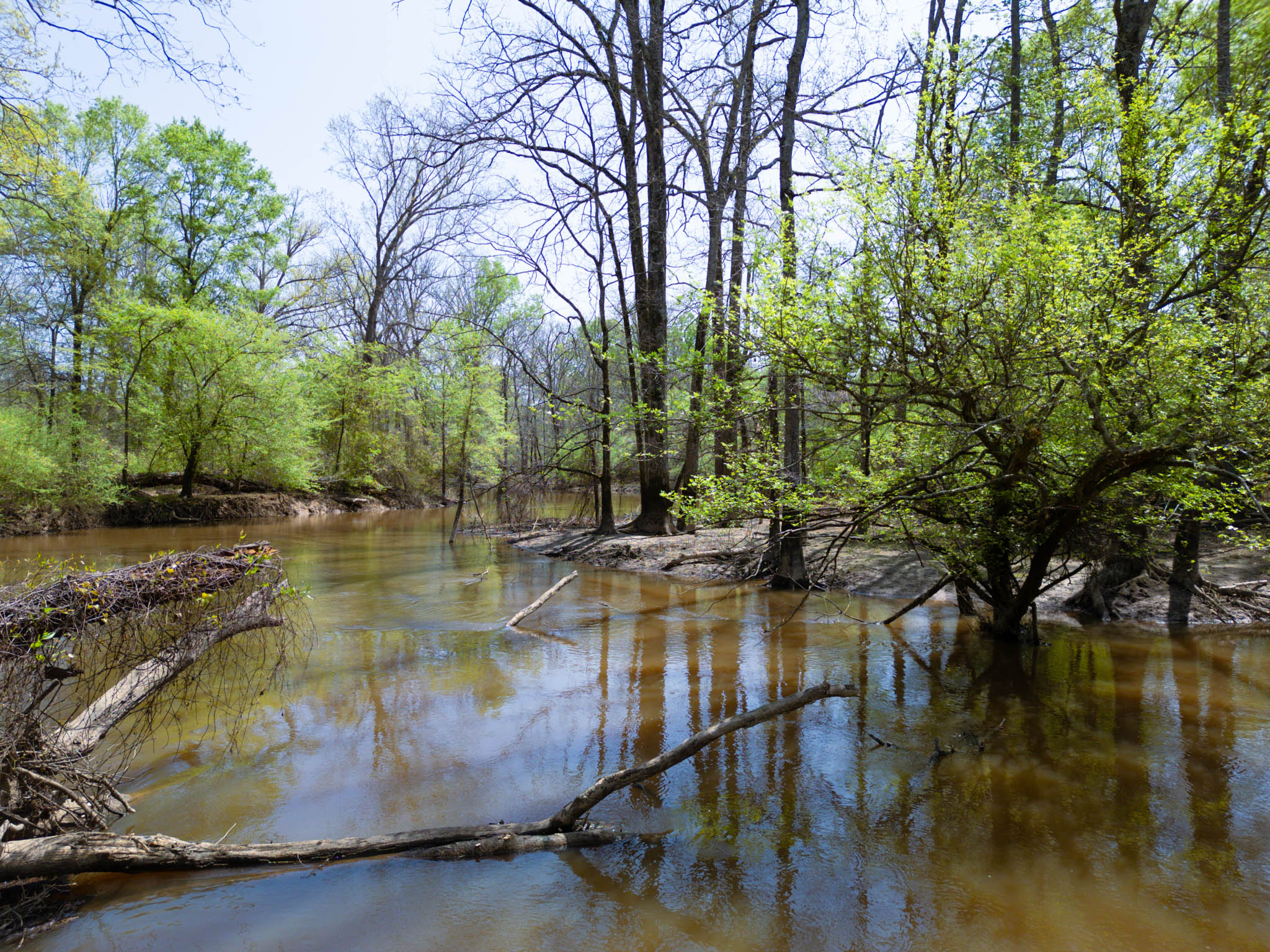 Upshur County Whitetail and Duck Hunting Property