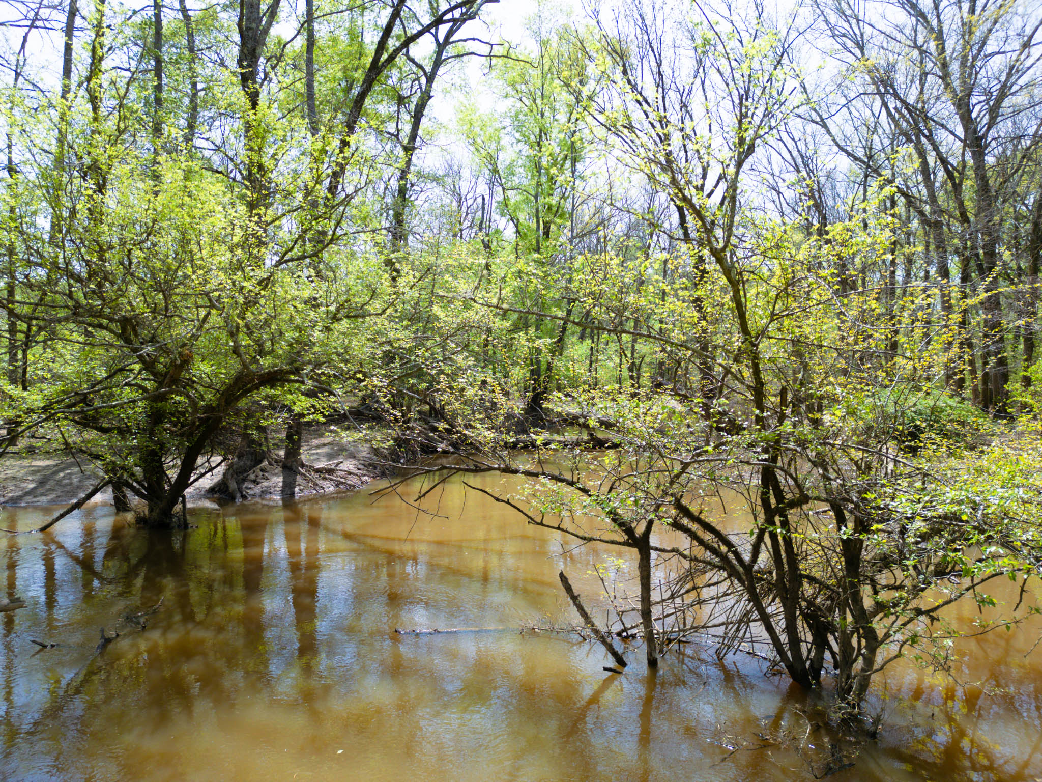 Upshur County Whitetail and Duck Hunting Property