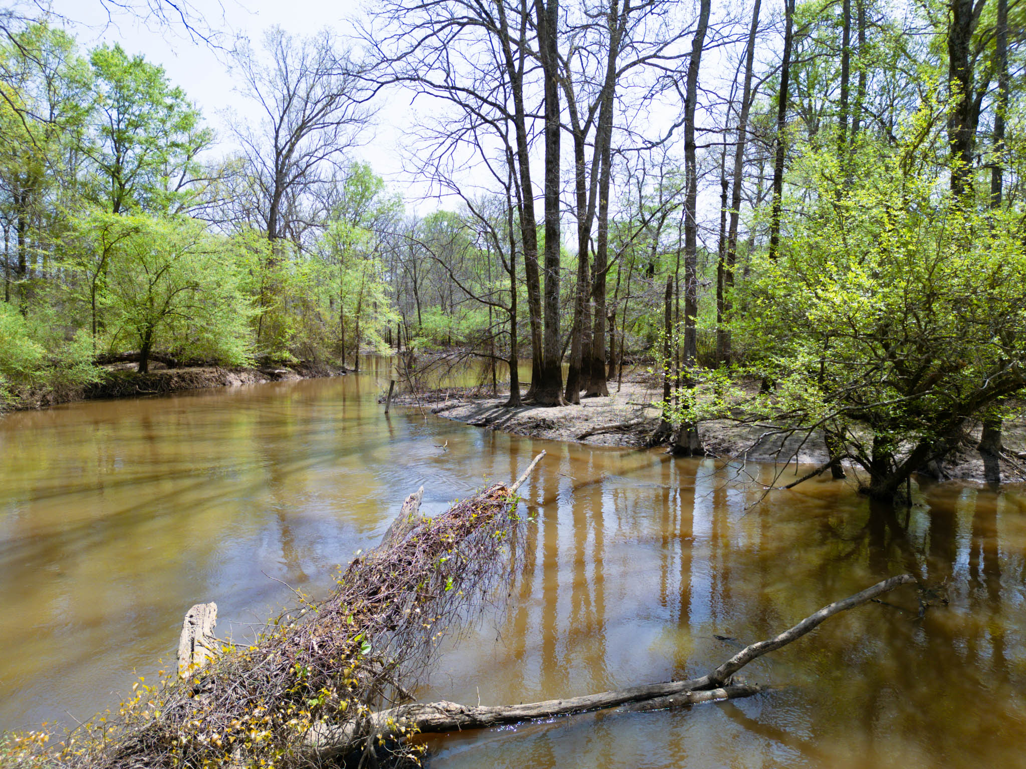 Upshur County Whitetail and Duck Hunting Property
