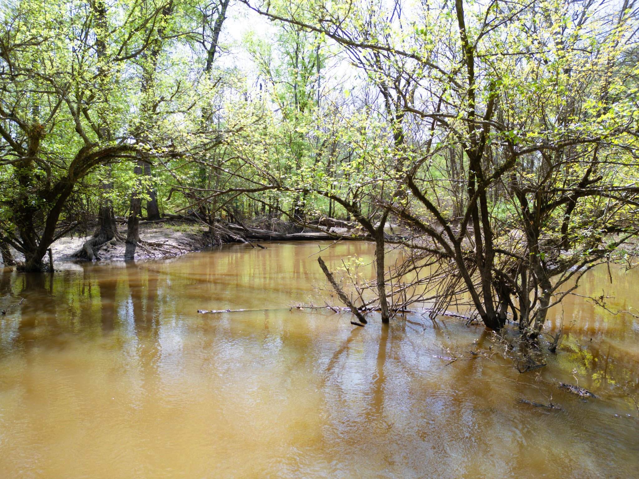 Upshur County Whitetail and Duck Hunting Property