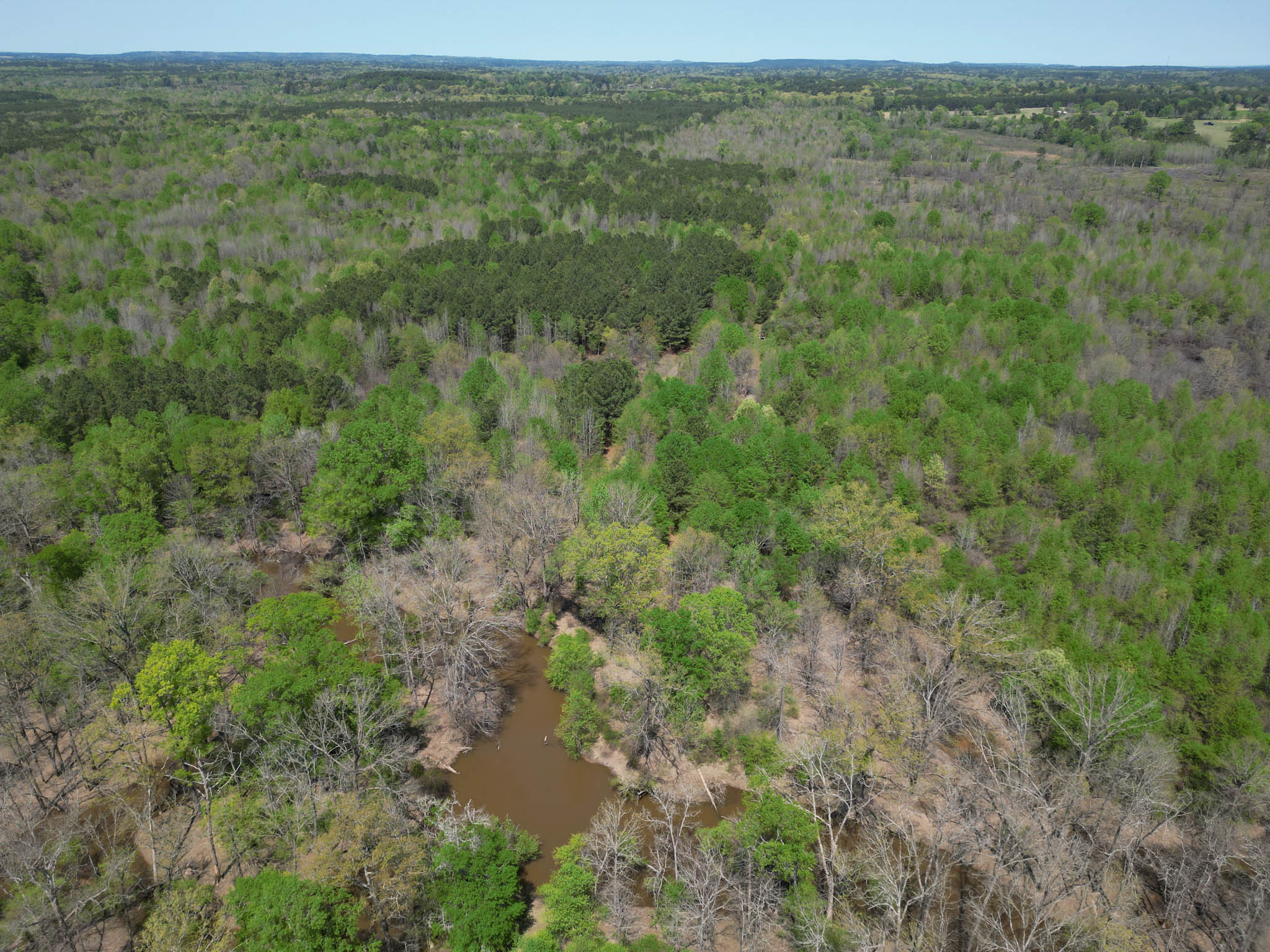 Upshur County Whitetail and Duck Hunting Property