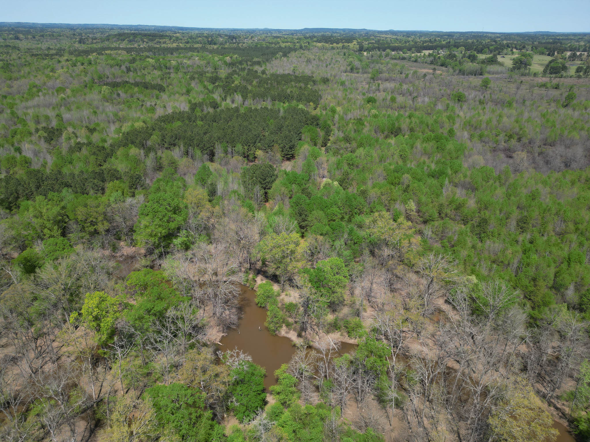 Upshur County Whitetail and Duck Hunting Property