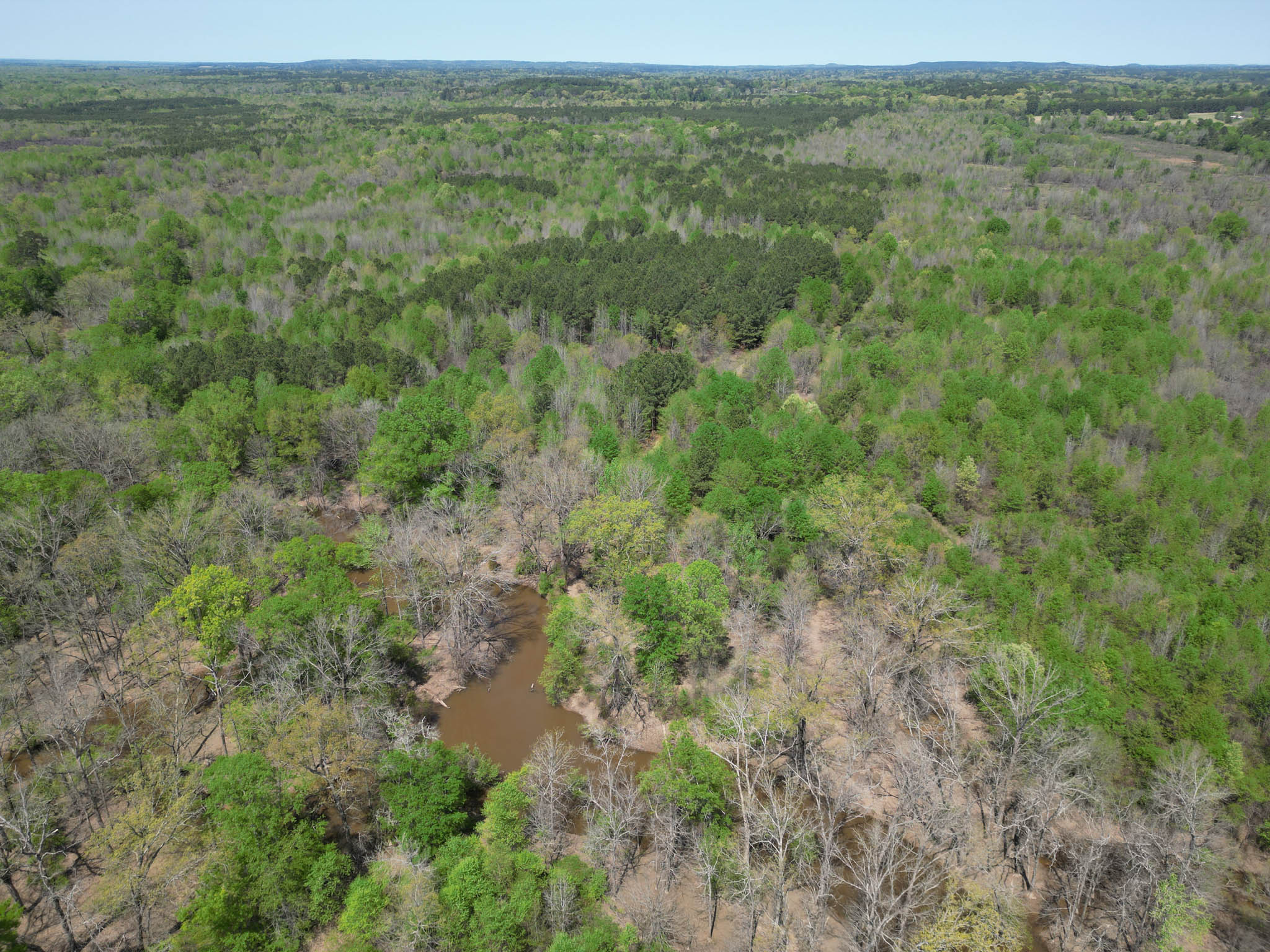 Upshur County Whitetail and Duck Hunting Property