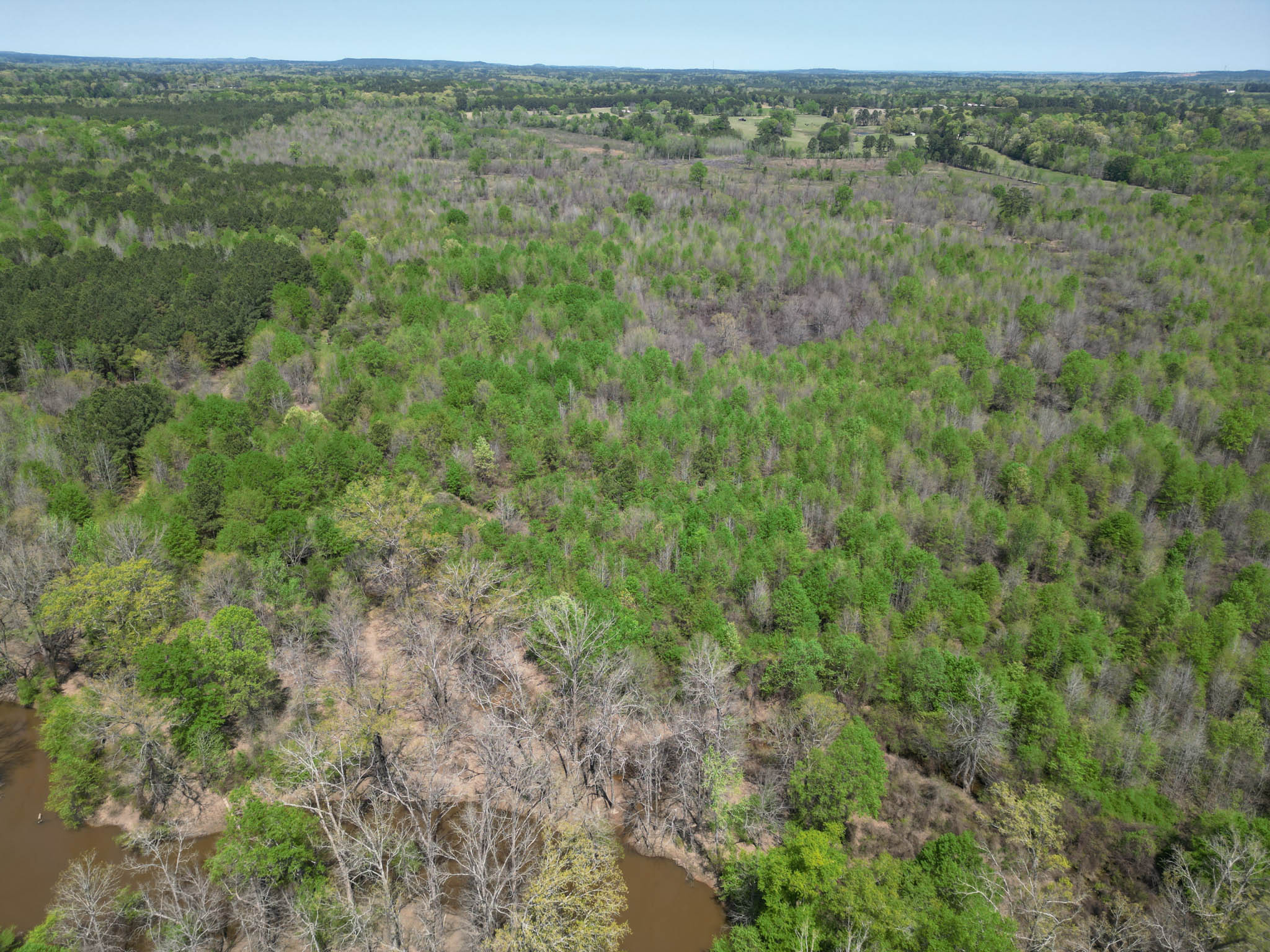 Upshur County Whitetail and Duck Hunting Property