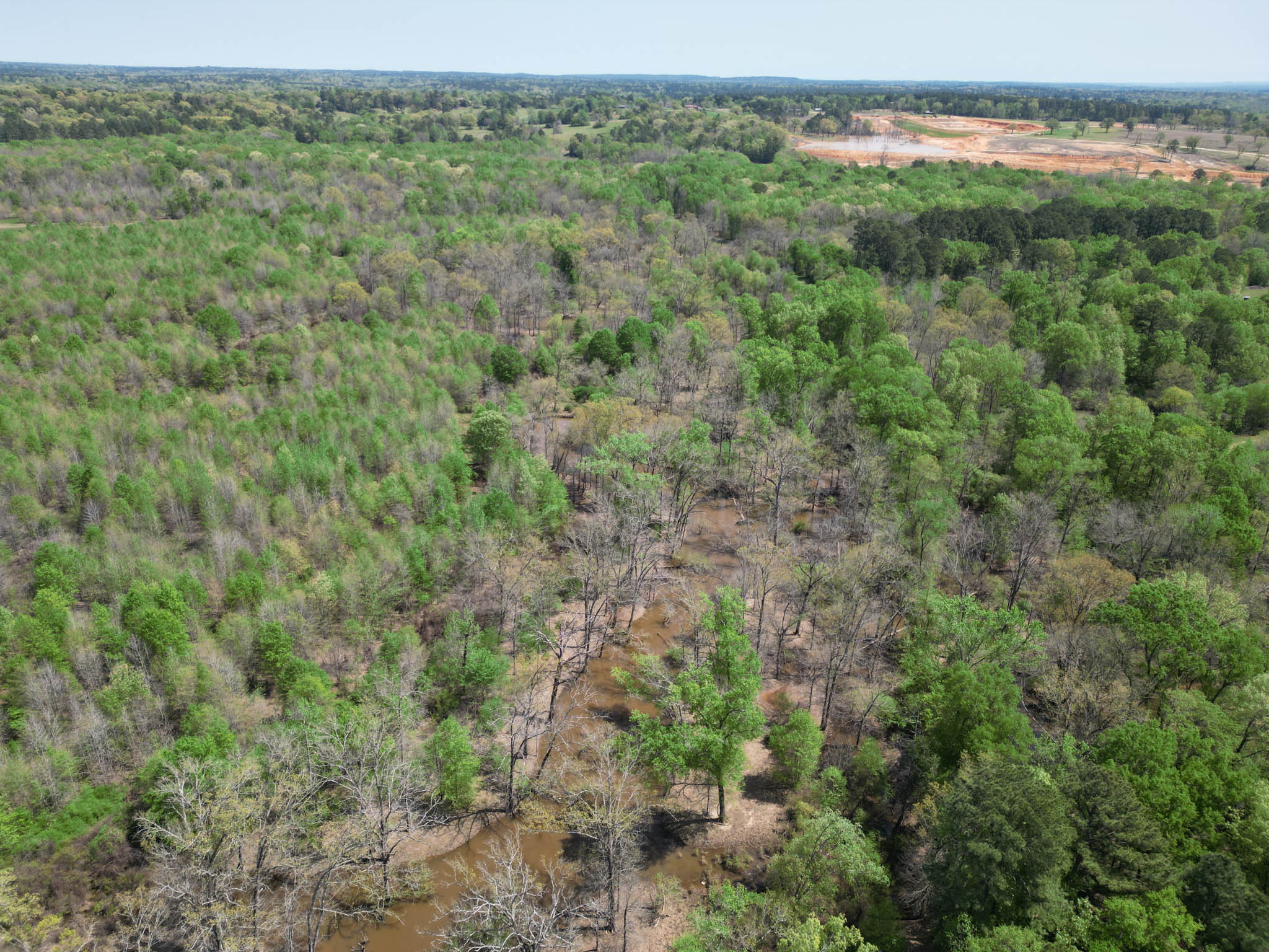 Upshur County Whitetail and Duck Hunting Property