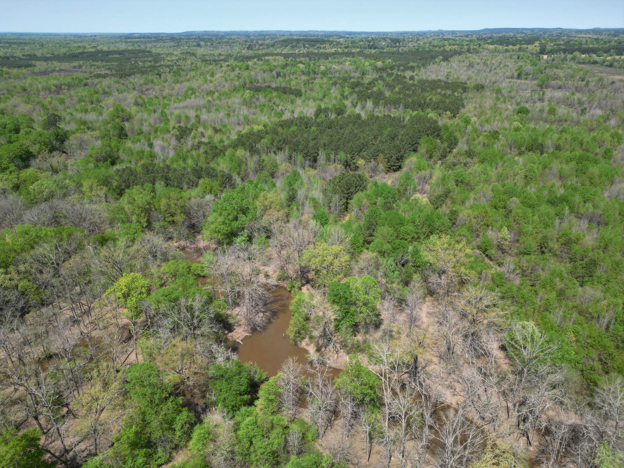 Upshur County Whitetail and Duck Hunting Property