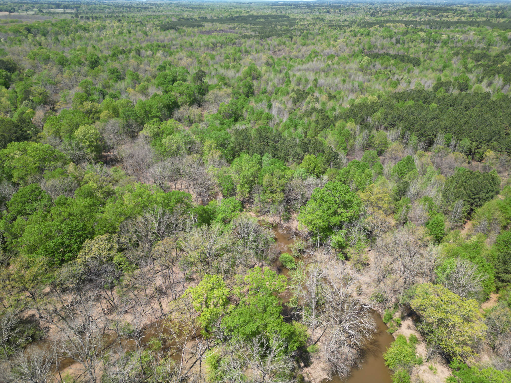 Upshur County Whitetail and Duck Hunting Property